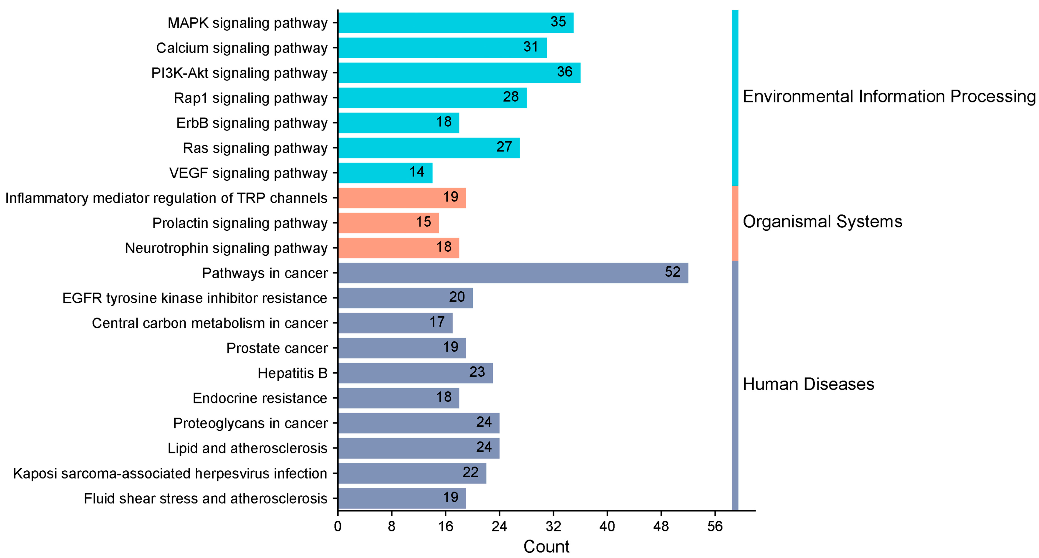 Toxics 13 00480 g007