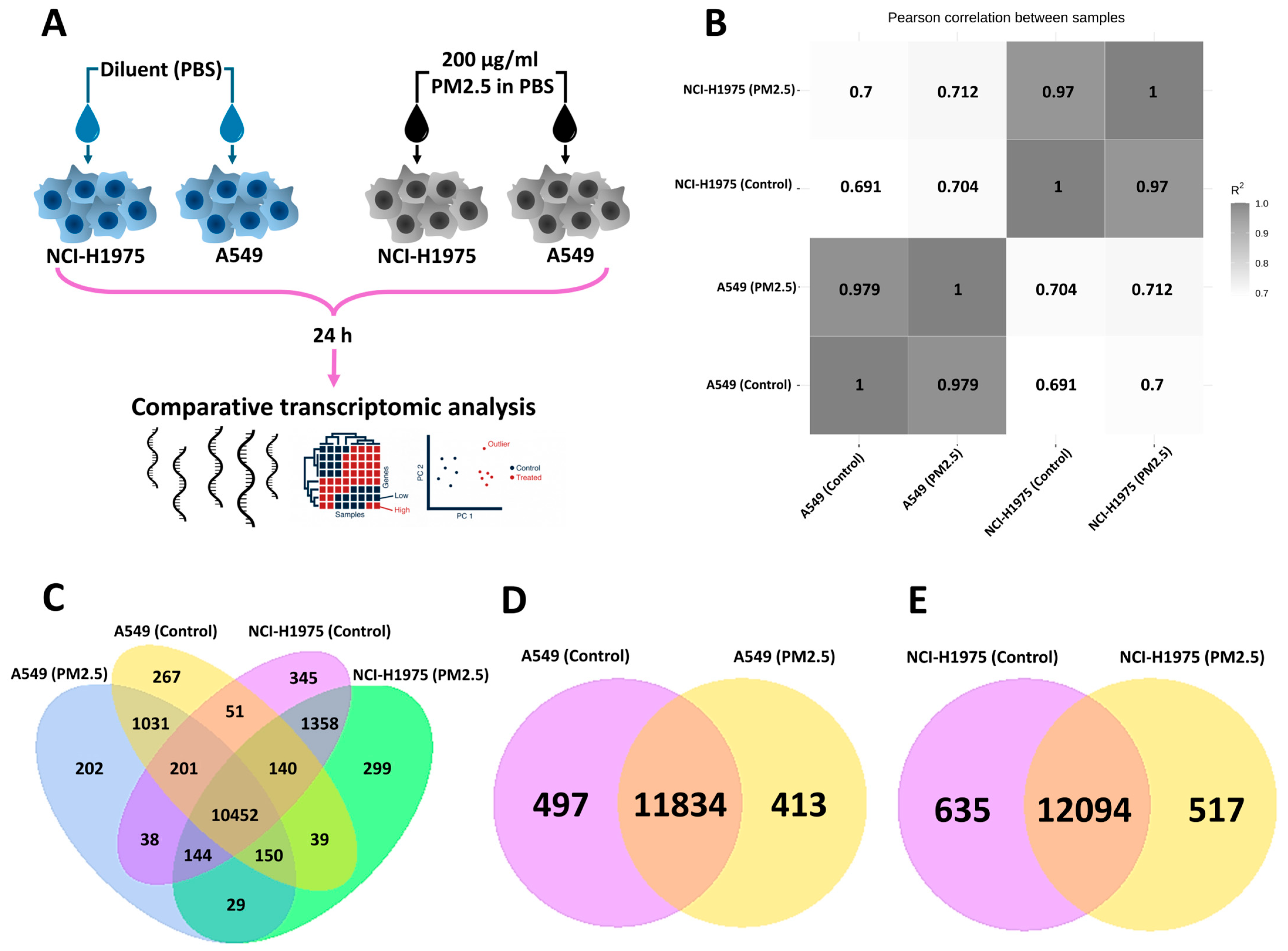 Toxics 13 00484 g001