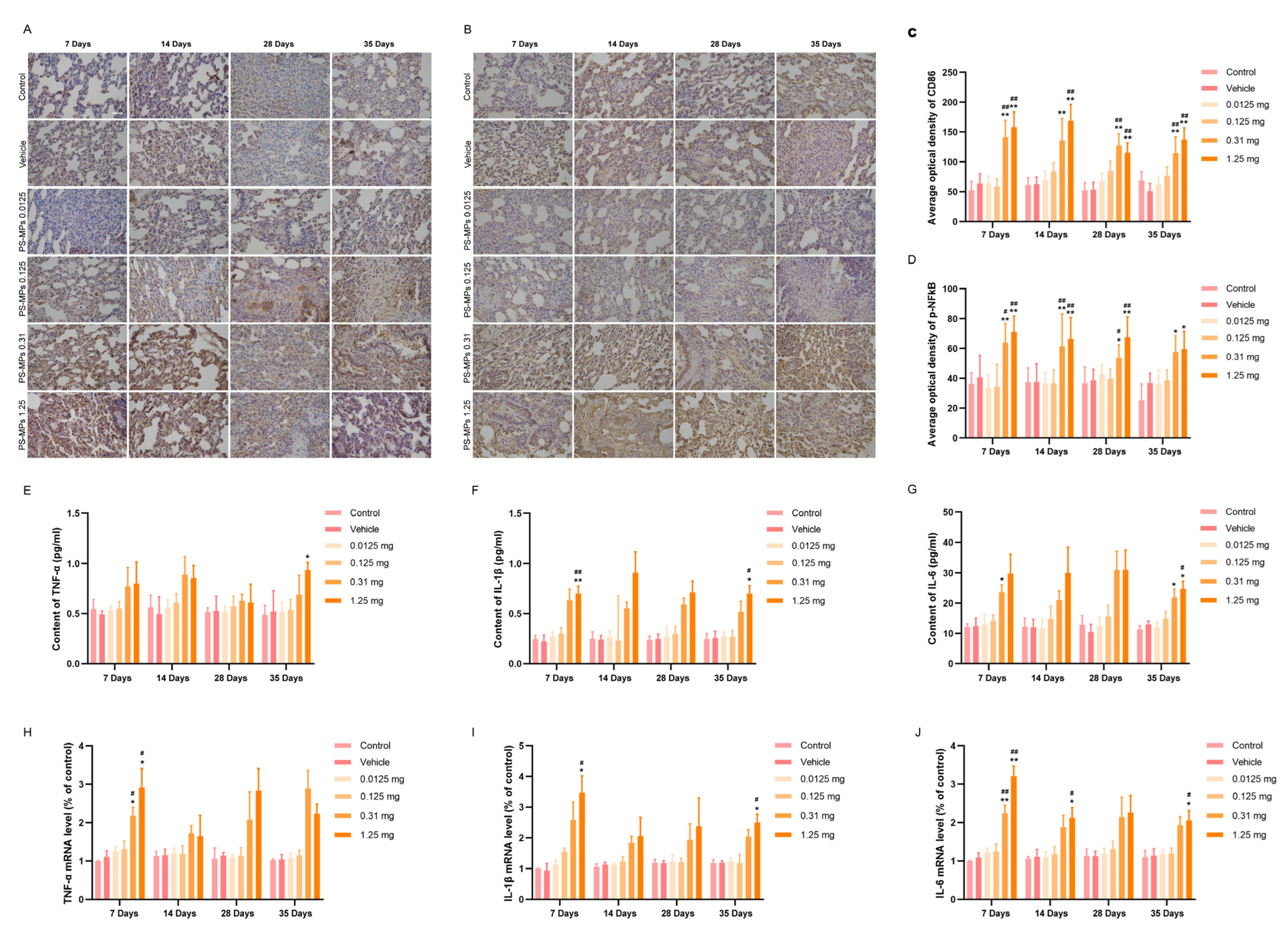 Toxics 13 00487 g005