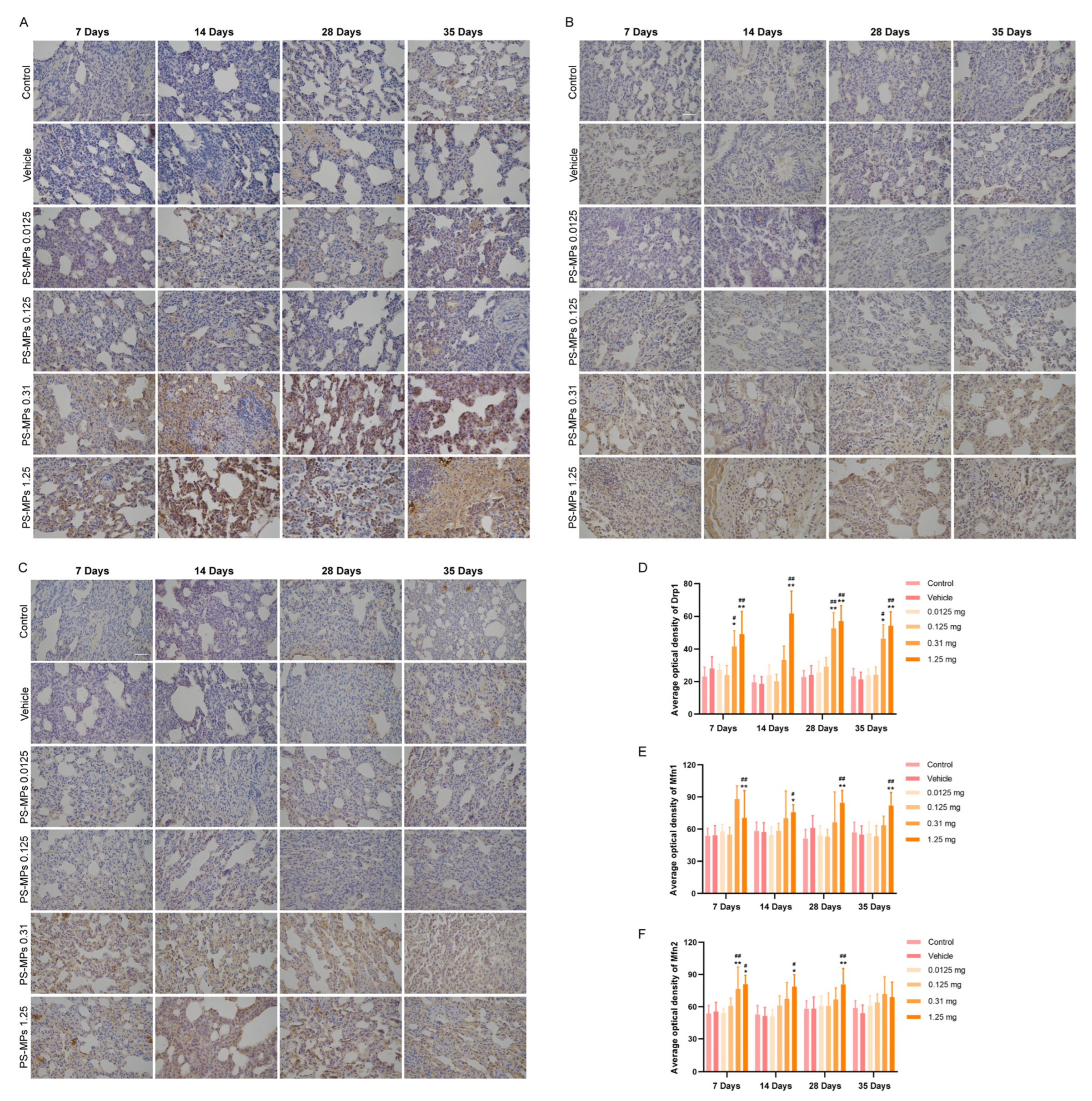 Toxics 13 00487 g007