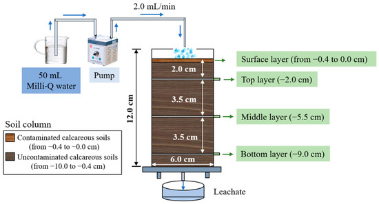 Degradation of Low-Molecular-Weight Diesel Fractions (C10