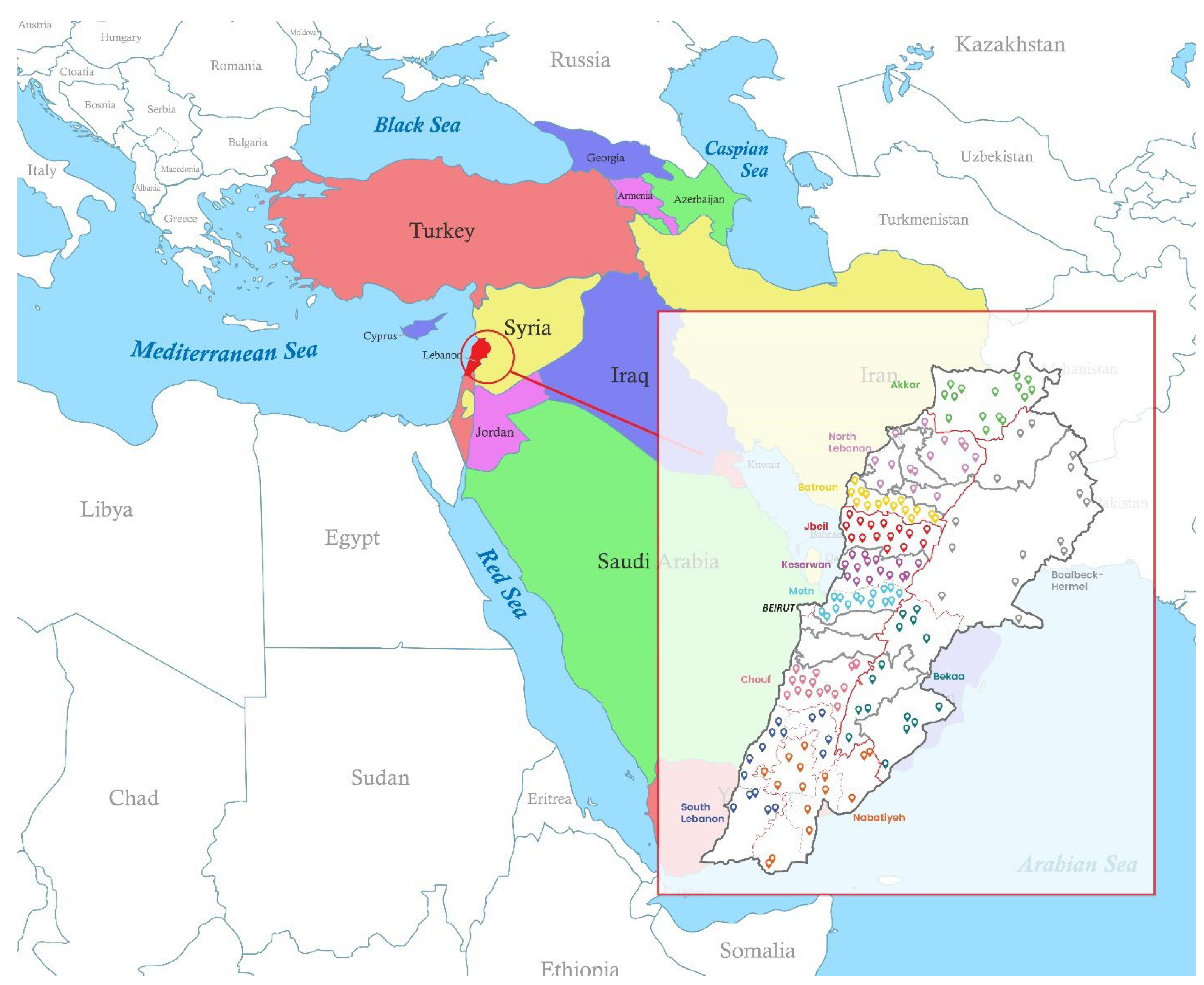 Toxics 13 00499 g001