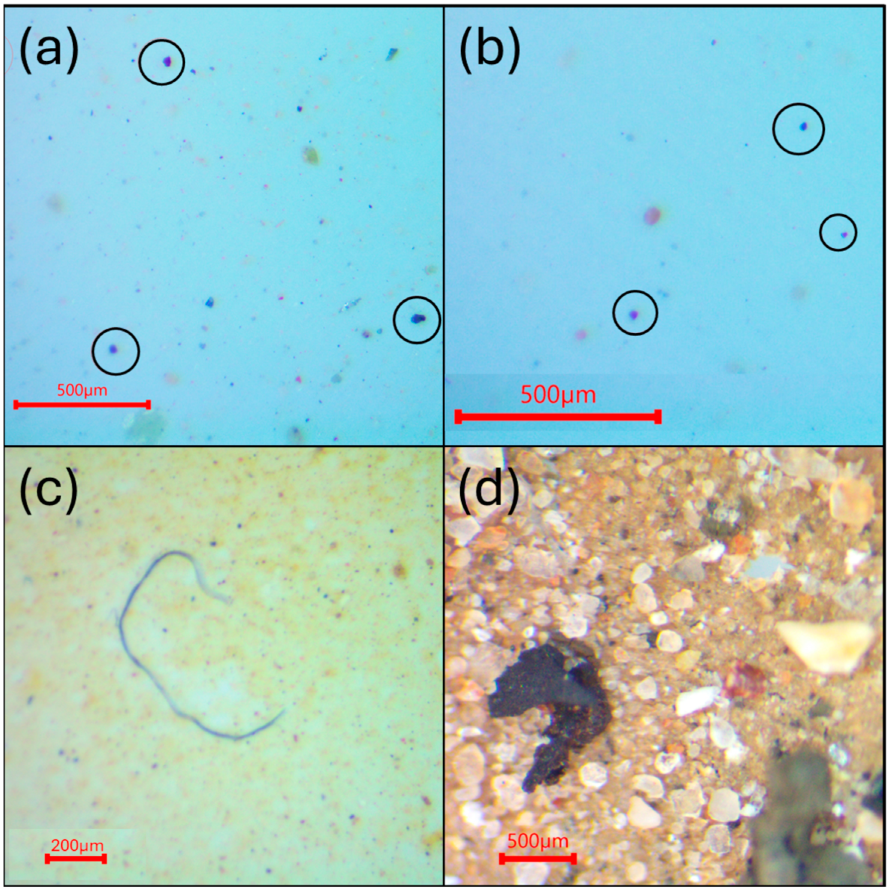 Toxics 13 00502 g001