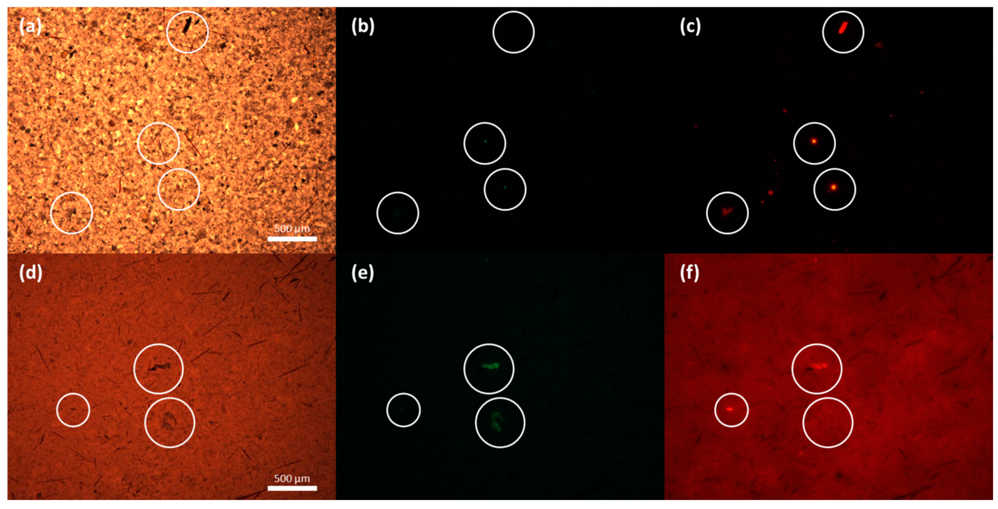 Toxics 13 00502 g003