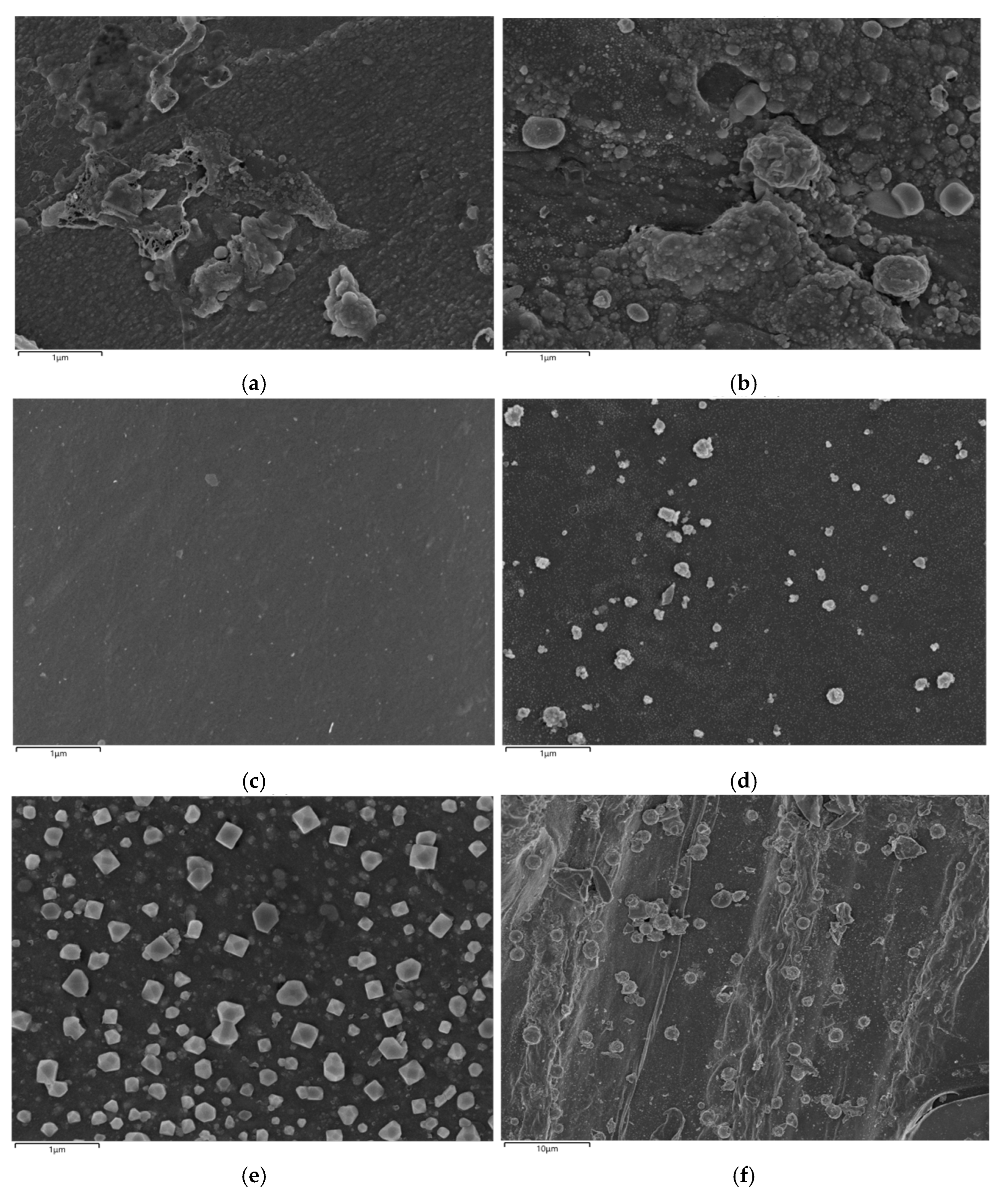 Toxics 13 00503 g006