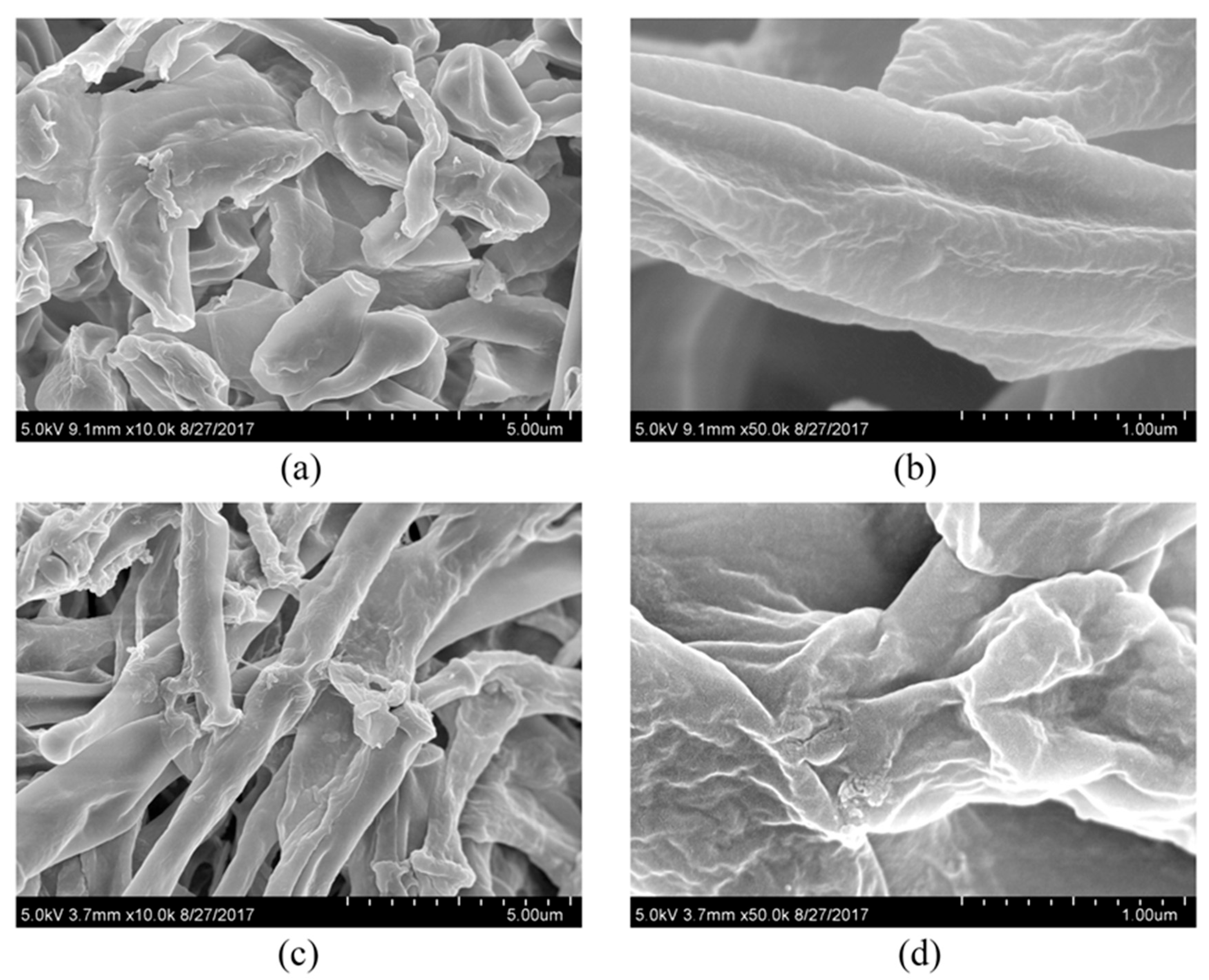 Toxics 13 00506 g002