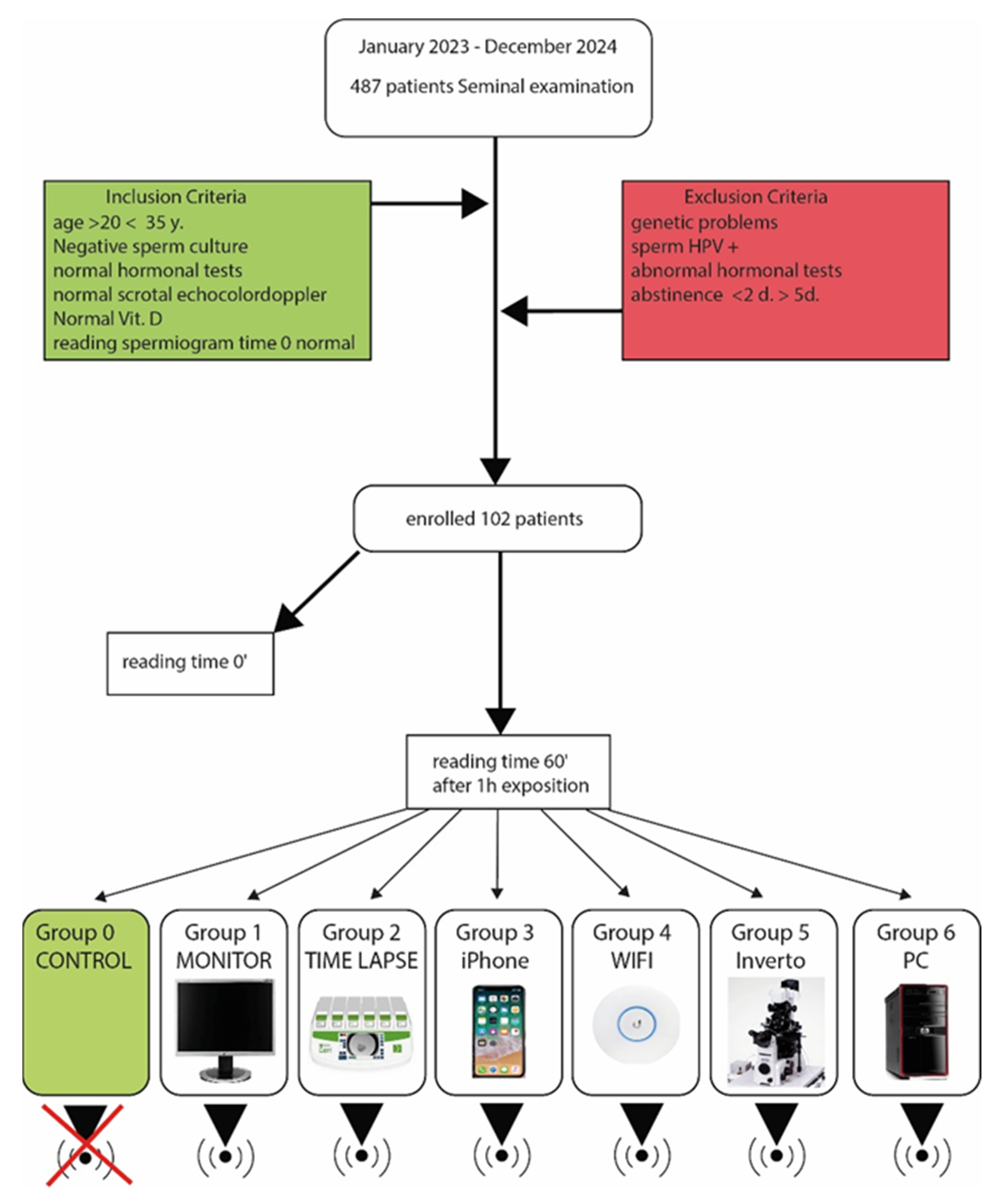 Toxics 13 00510 g001