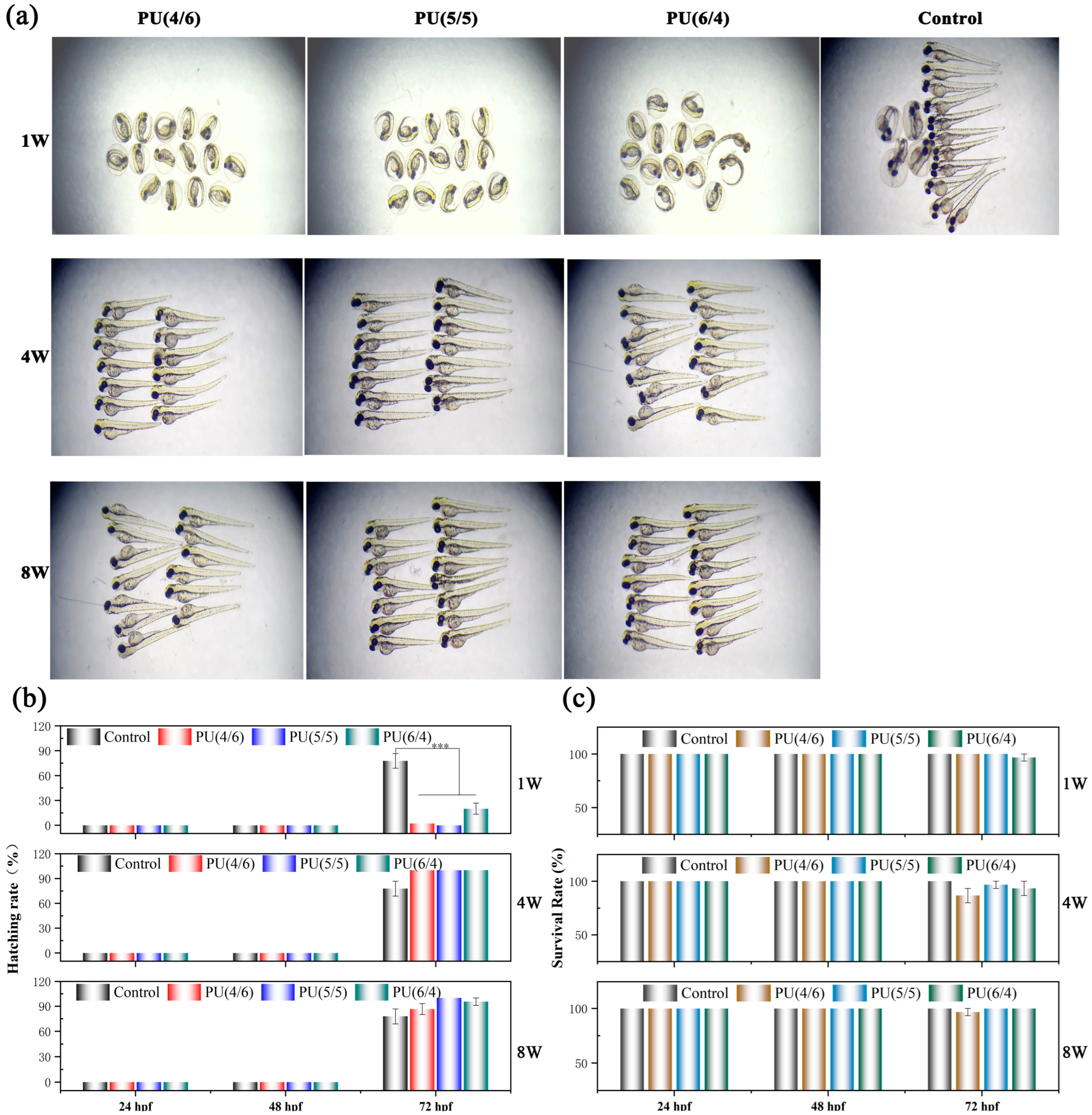 Toxics 13 00512 g009