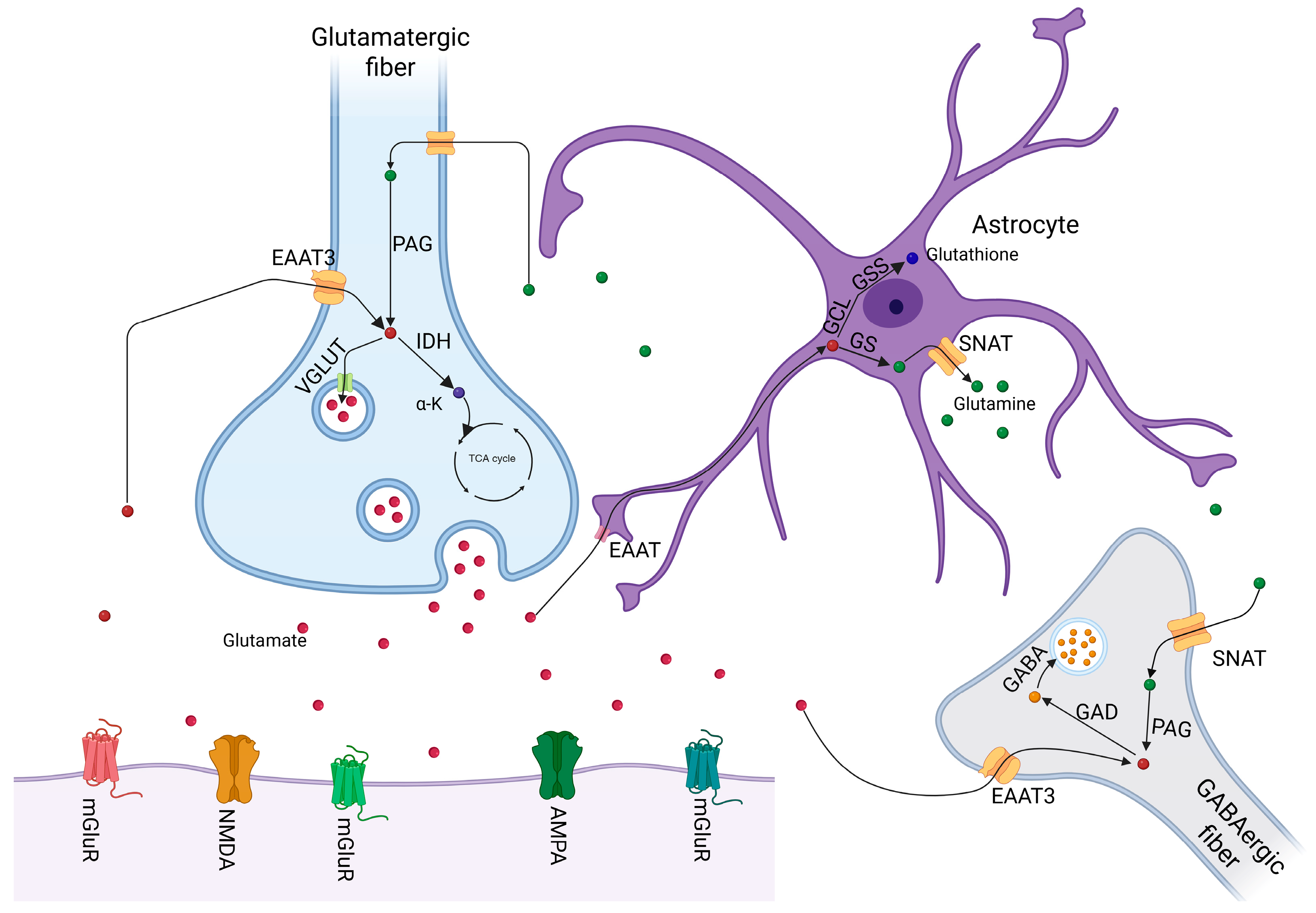 Toxics 13 00519 g001