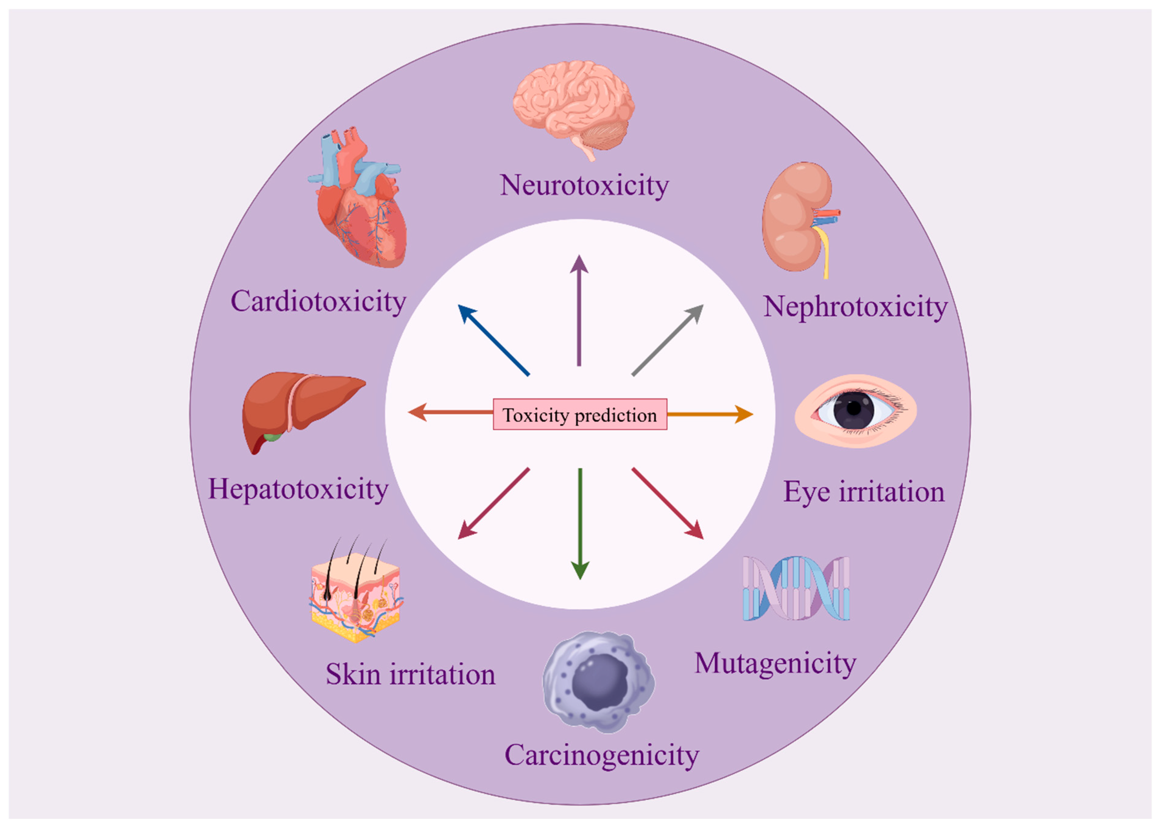 Toxics 13 00525 g002