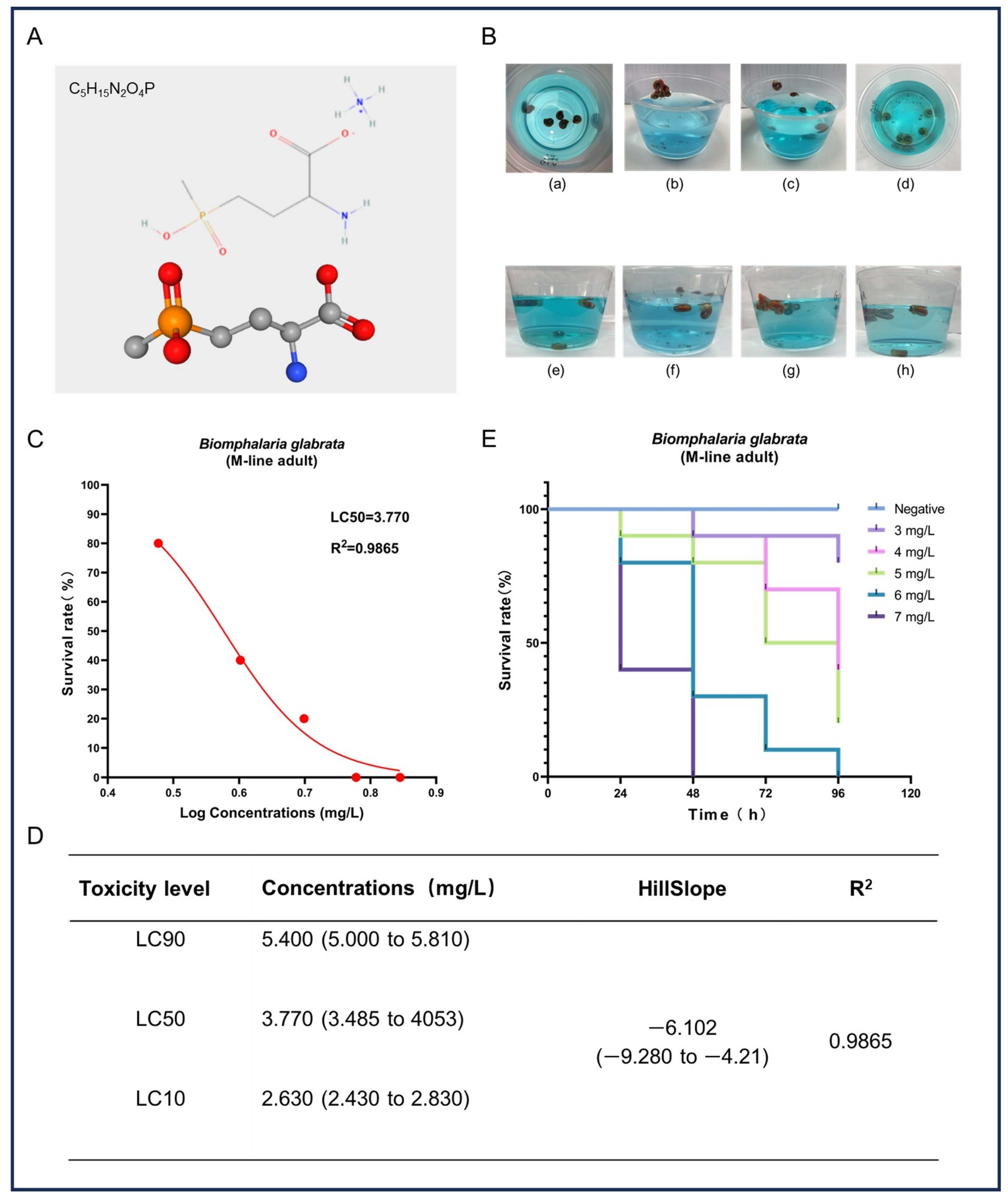Toxics 13 00528 g001