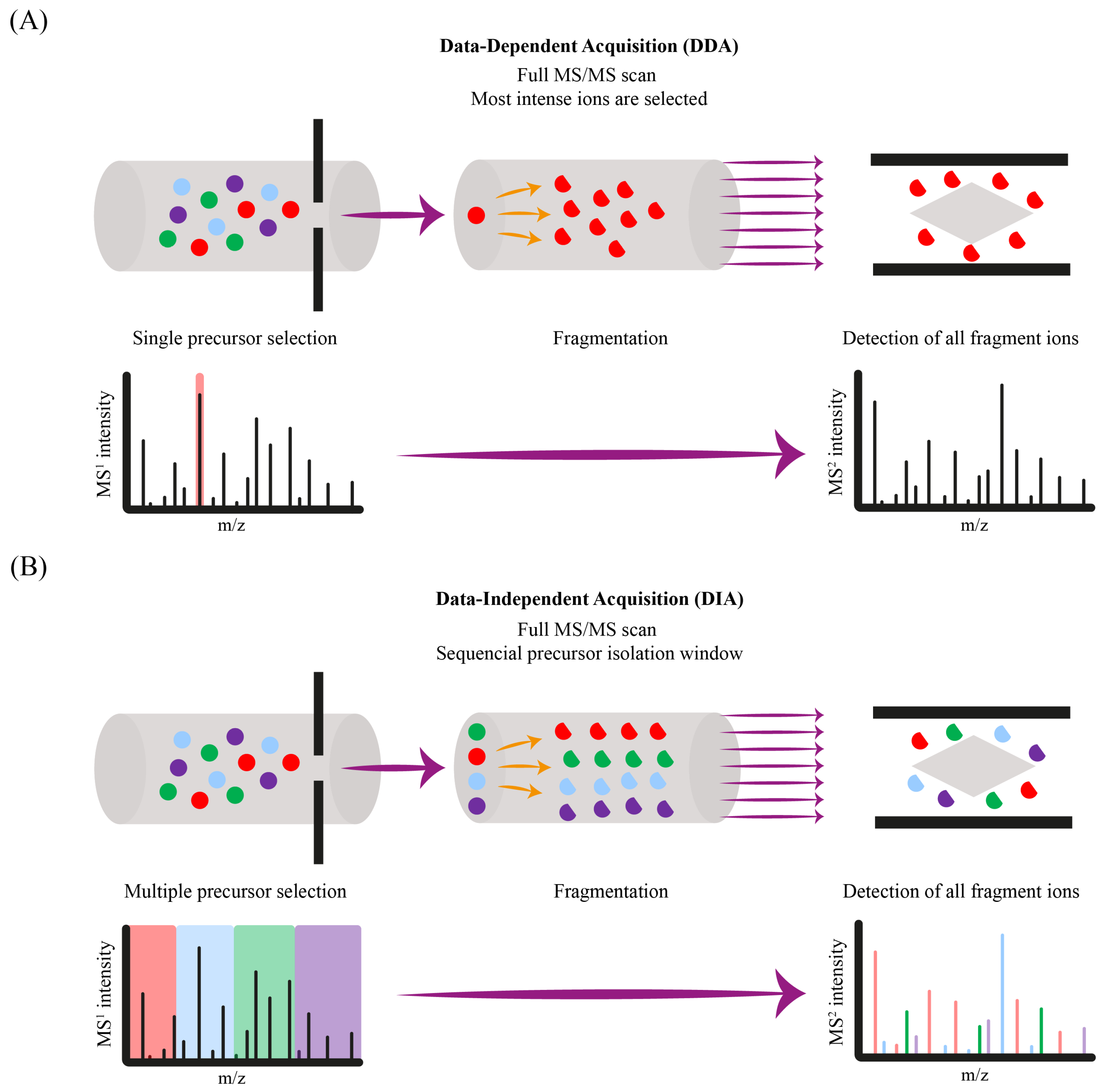 Toxics 13 00543 g003