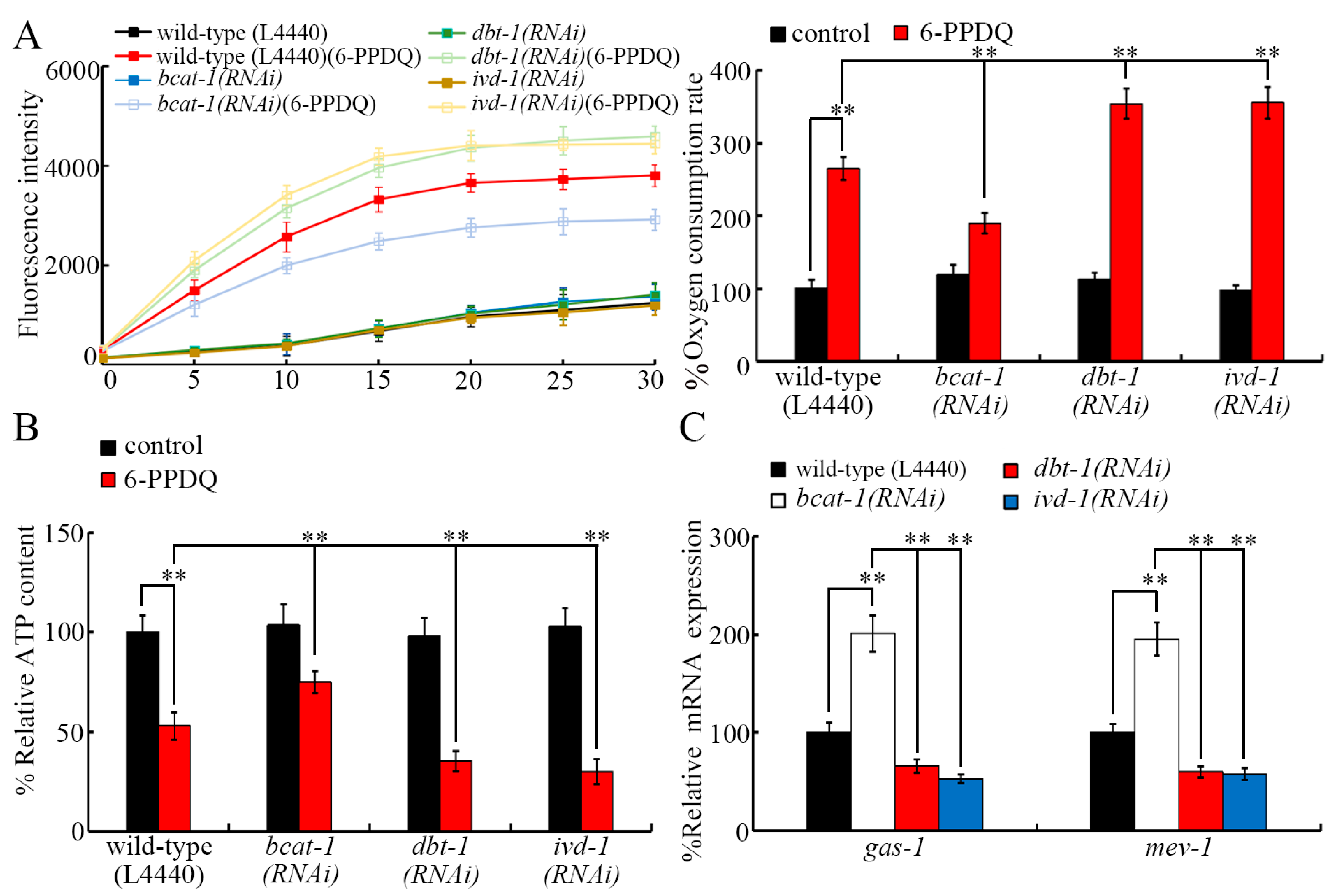Toxics 13 00544 g004
