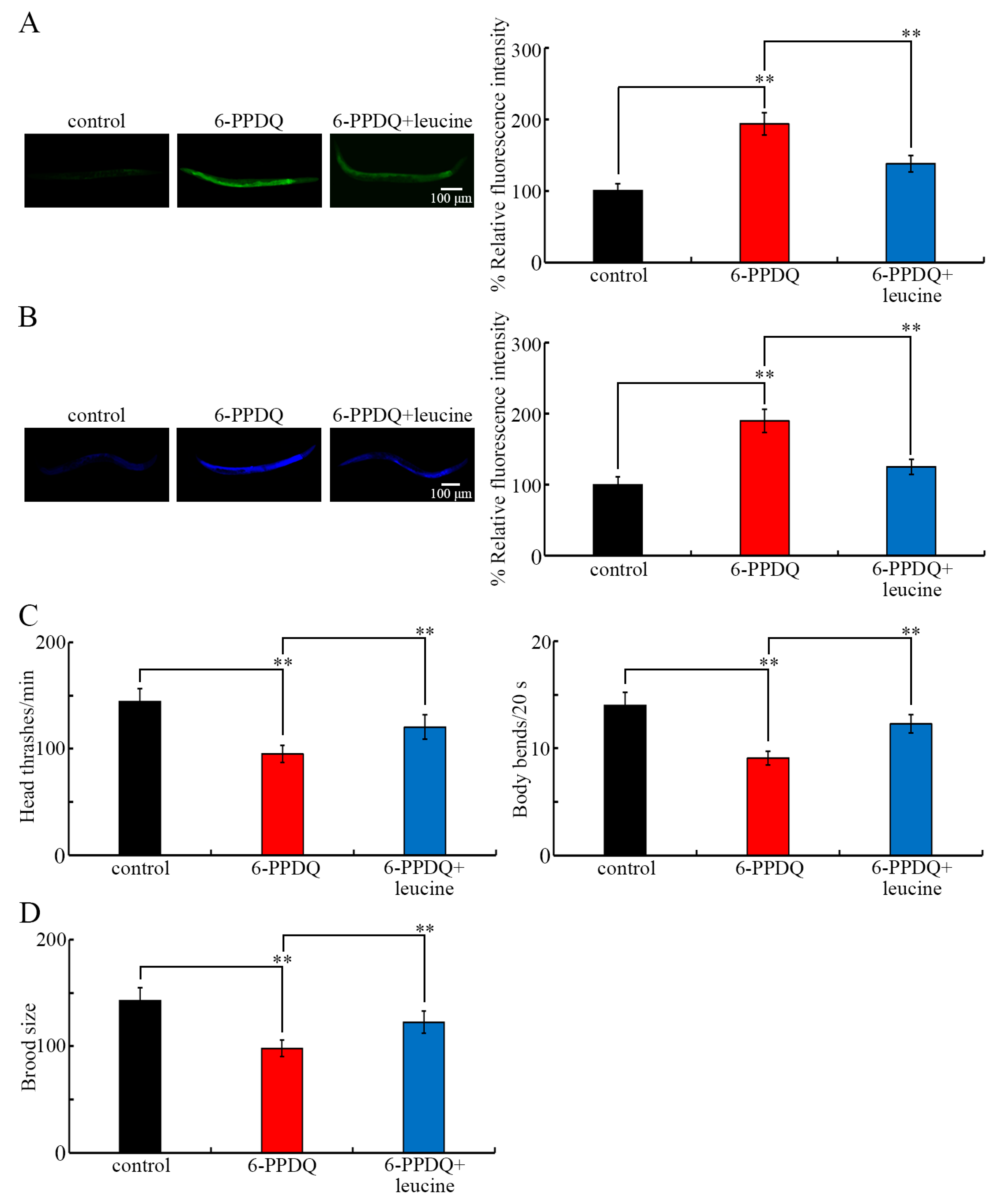 Toxics 13 00544 g007