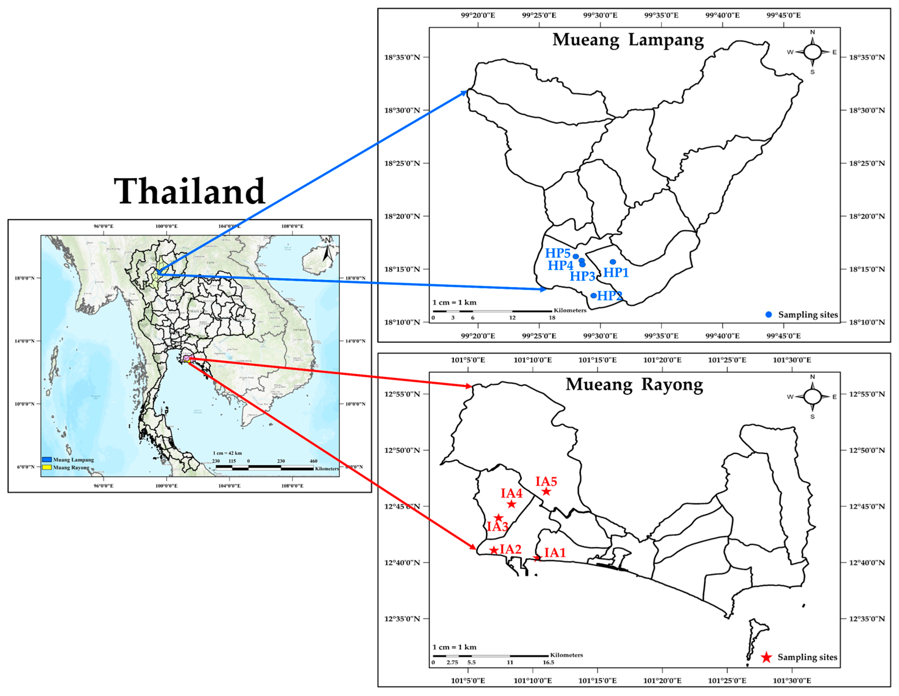 Toxics 13 00547 g001