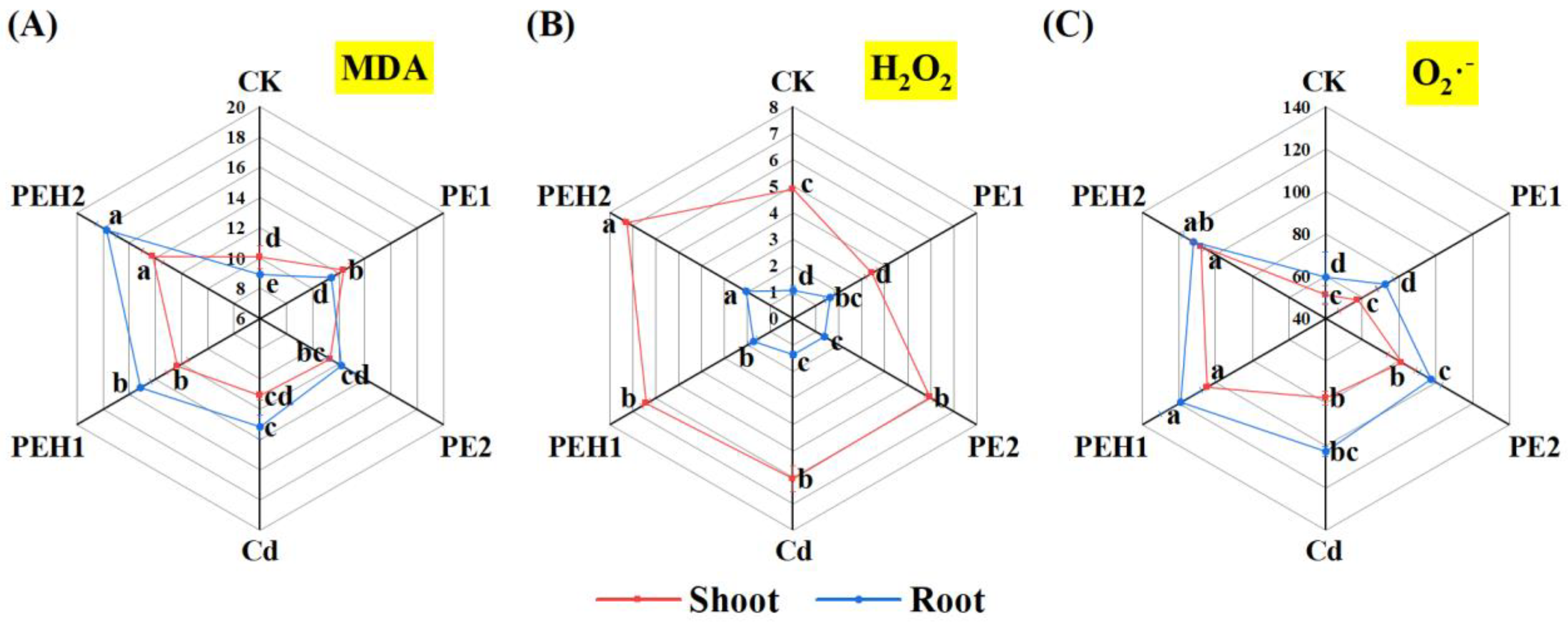 Toxics 13 00555 g003