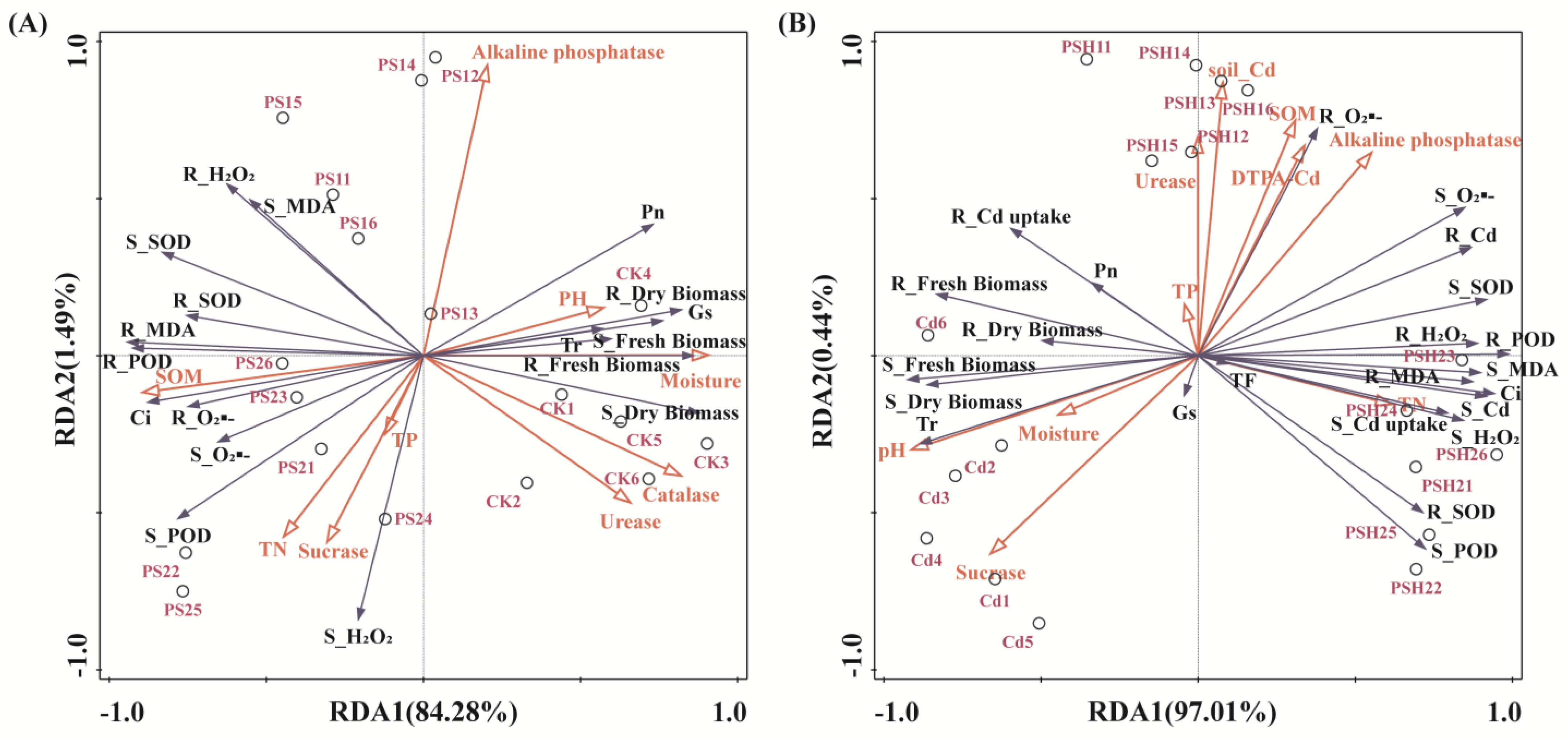 Toxics 13 00555 g005