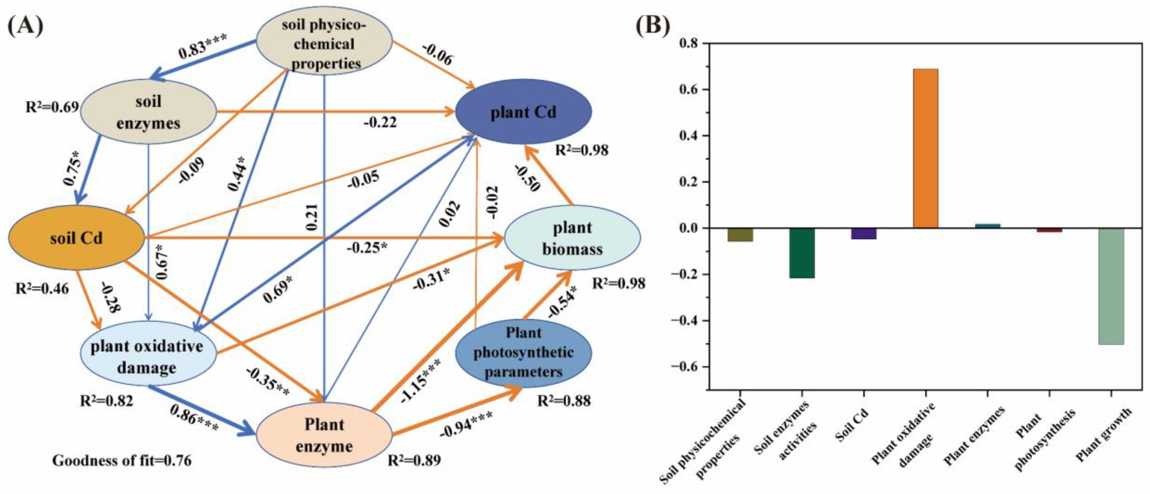 Coupled Effects of Polyethylene Microplastics and Cadmium on