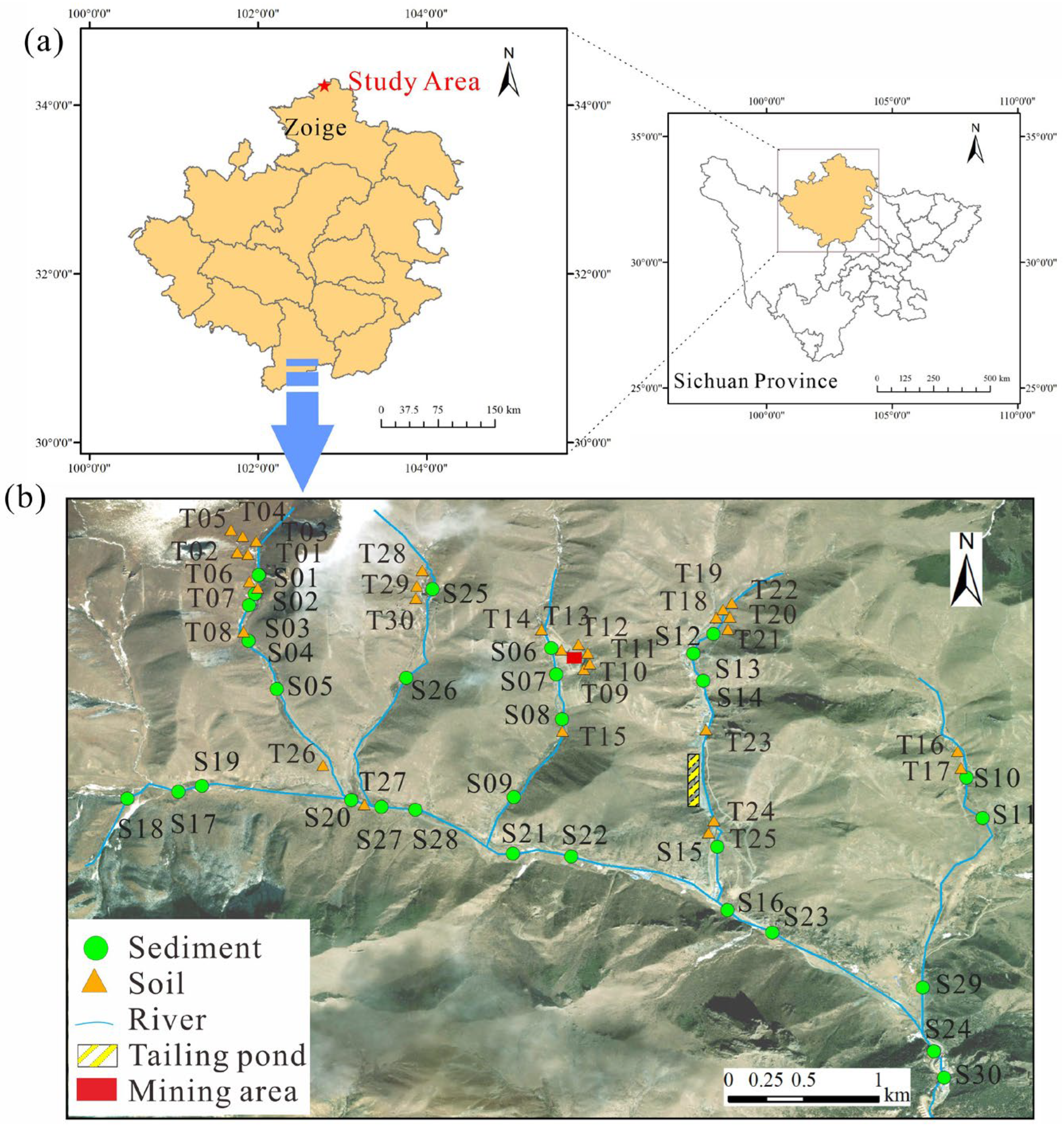 Toxics 13 00561 g001