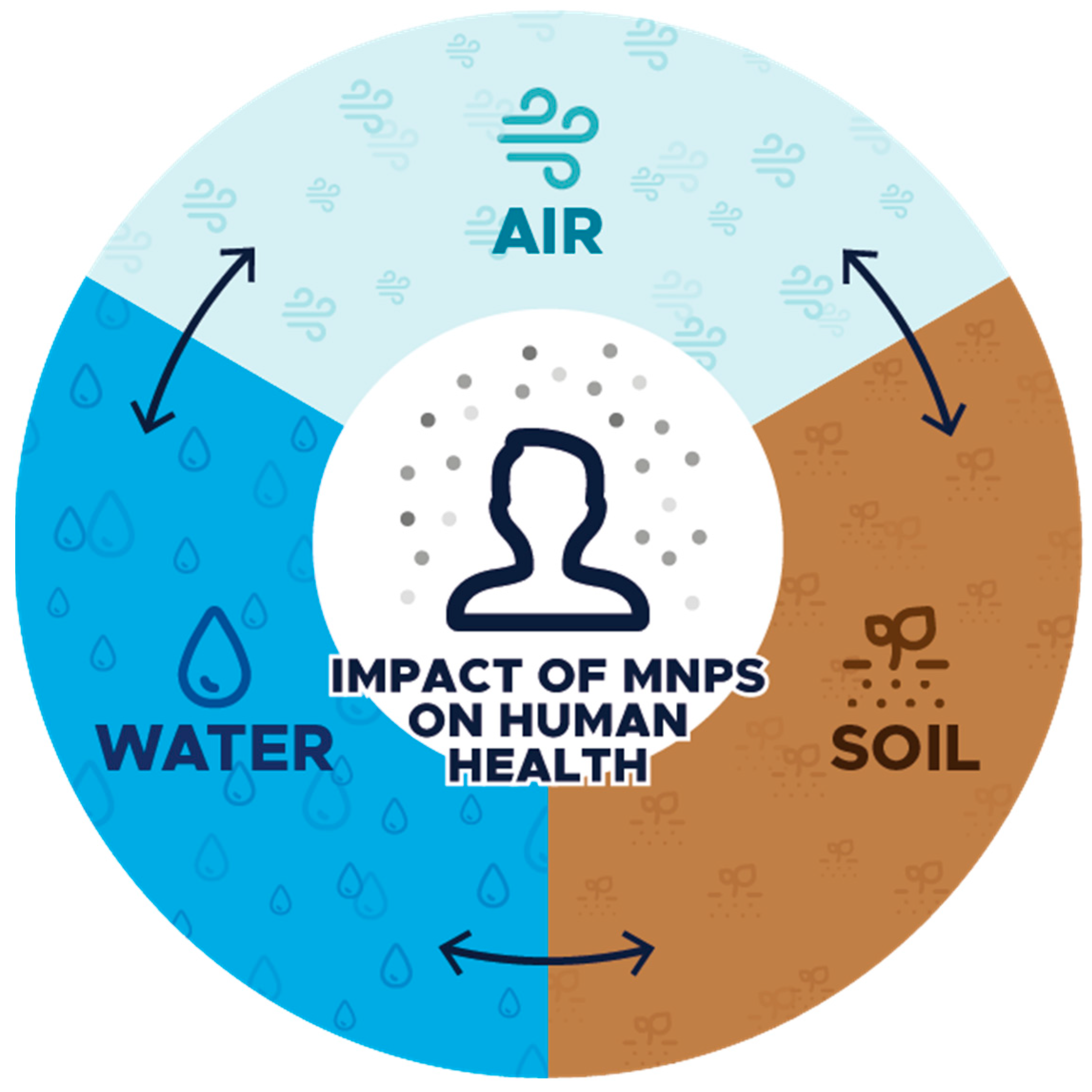 Toxics 13 00564 g001