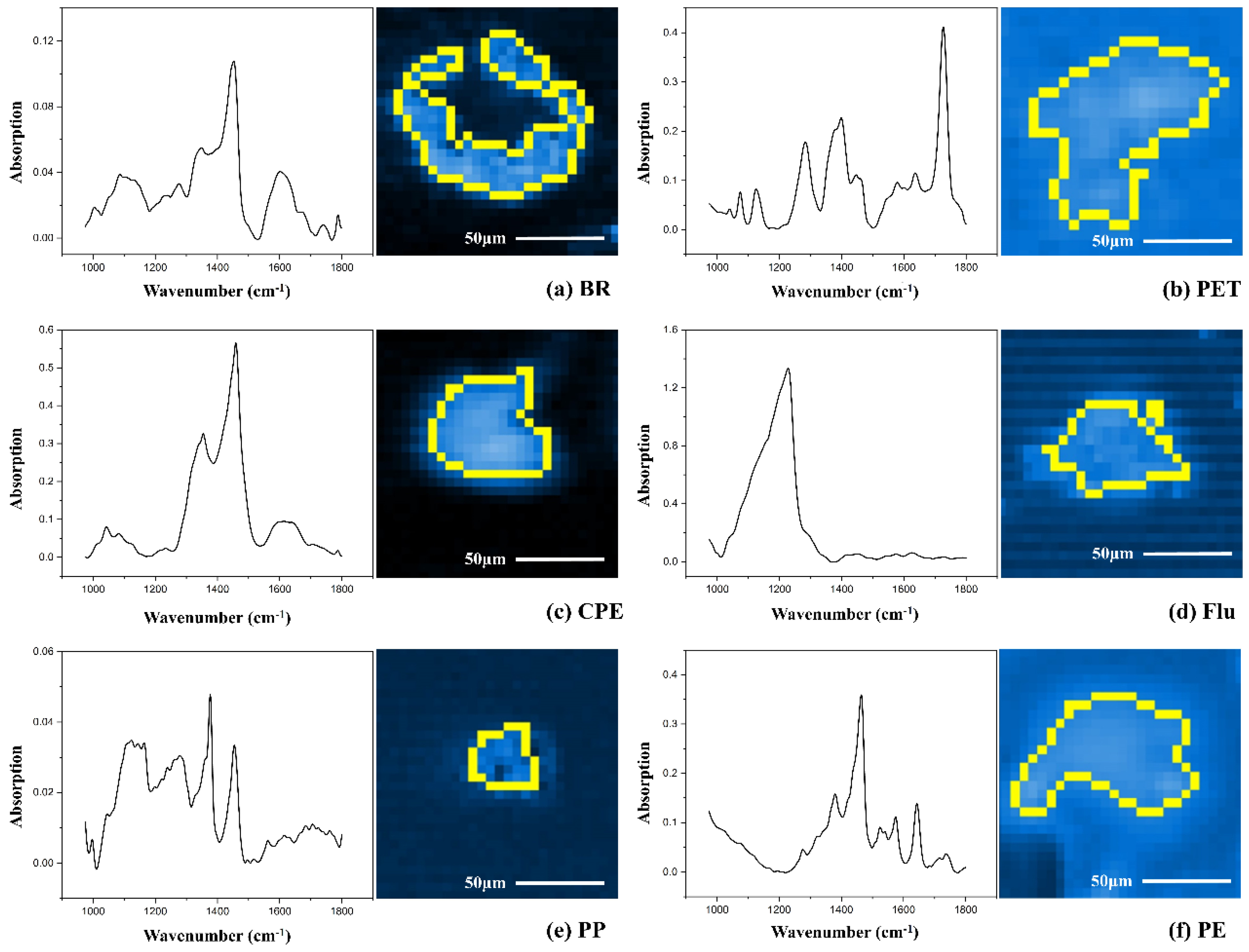 Toxics 13 00566 g001