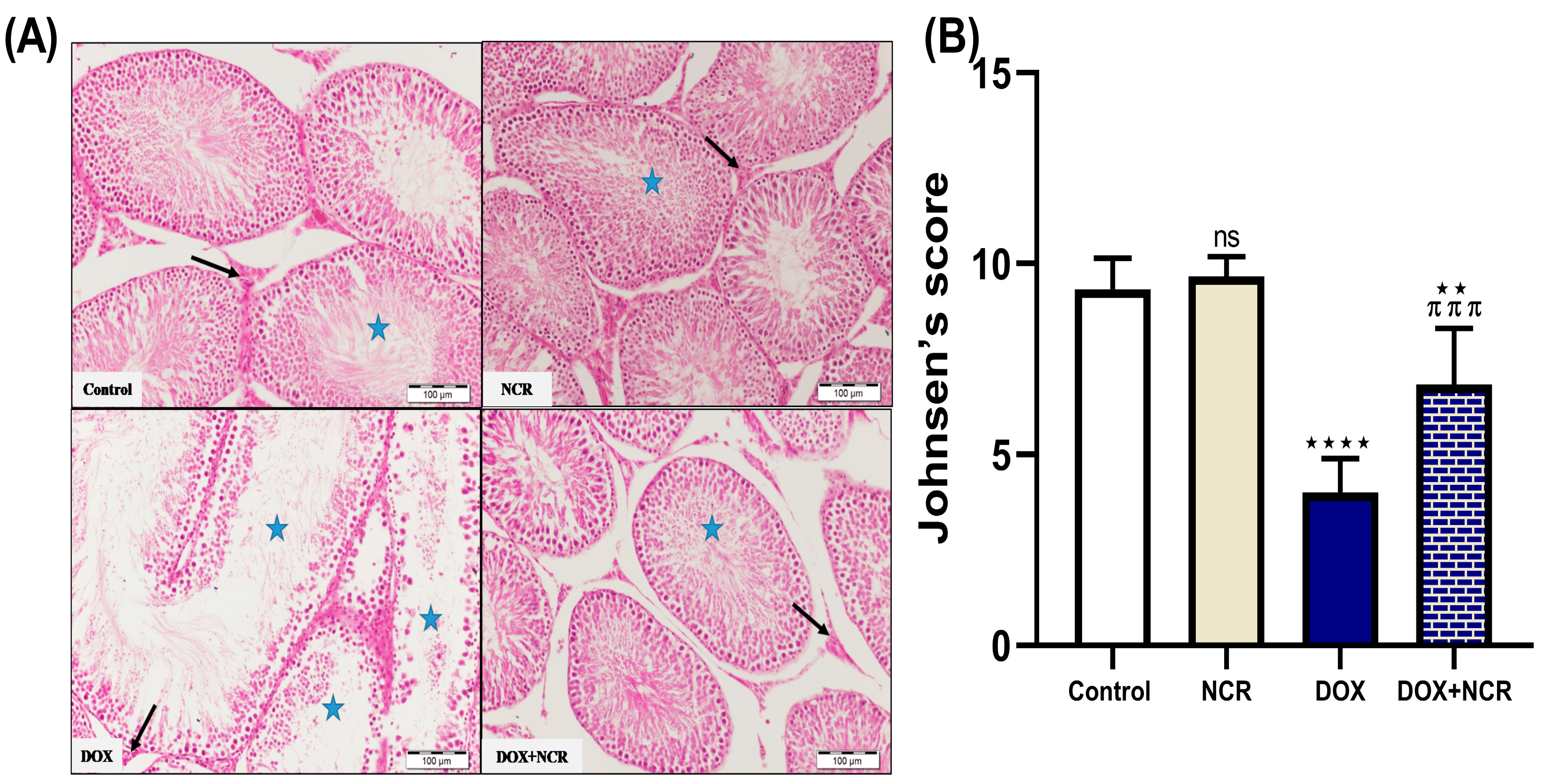 Toxics 13 00574 g002