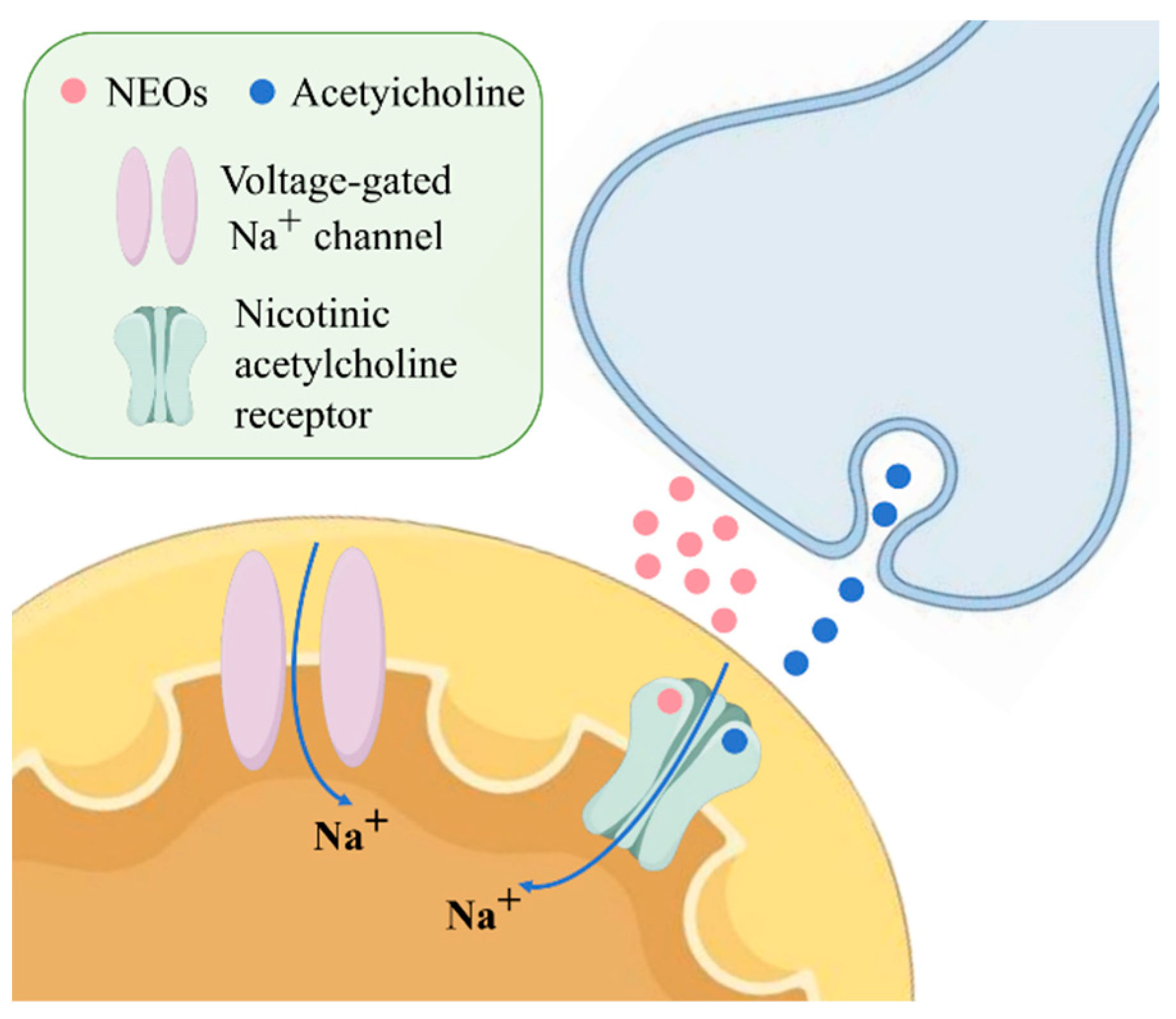 Toxics 13 00576 g001