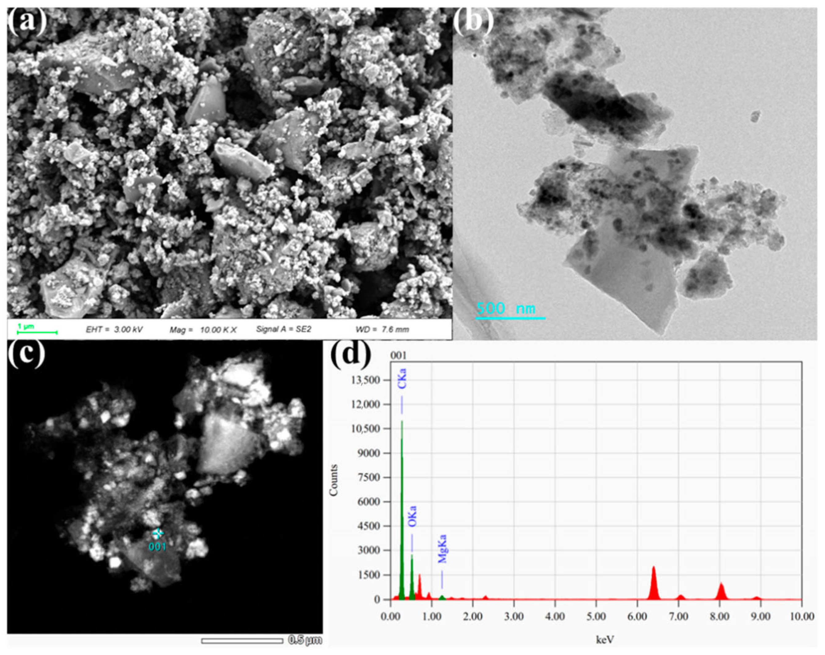 Toxics 13 00577 g005