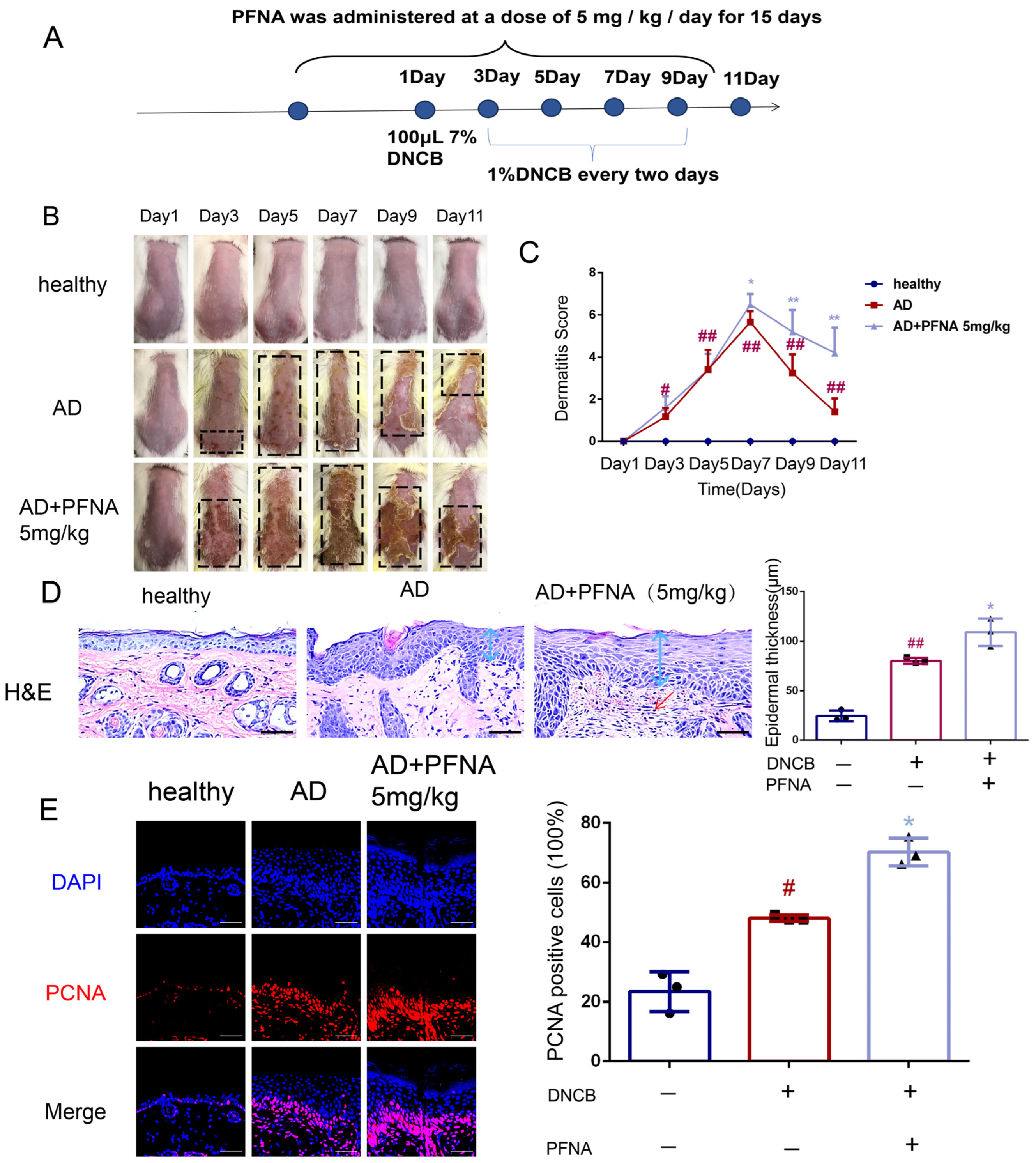 Toxics 13 00585 g001