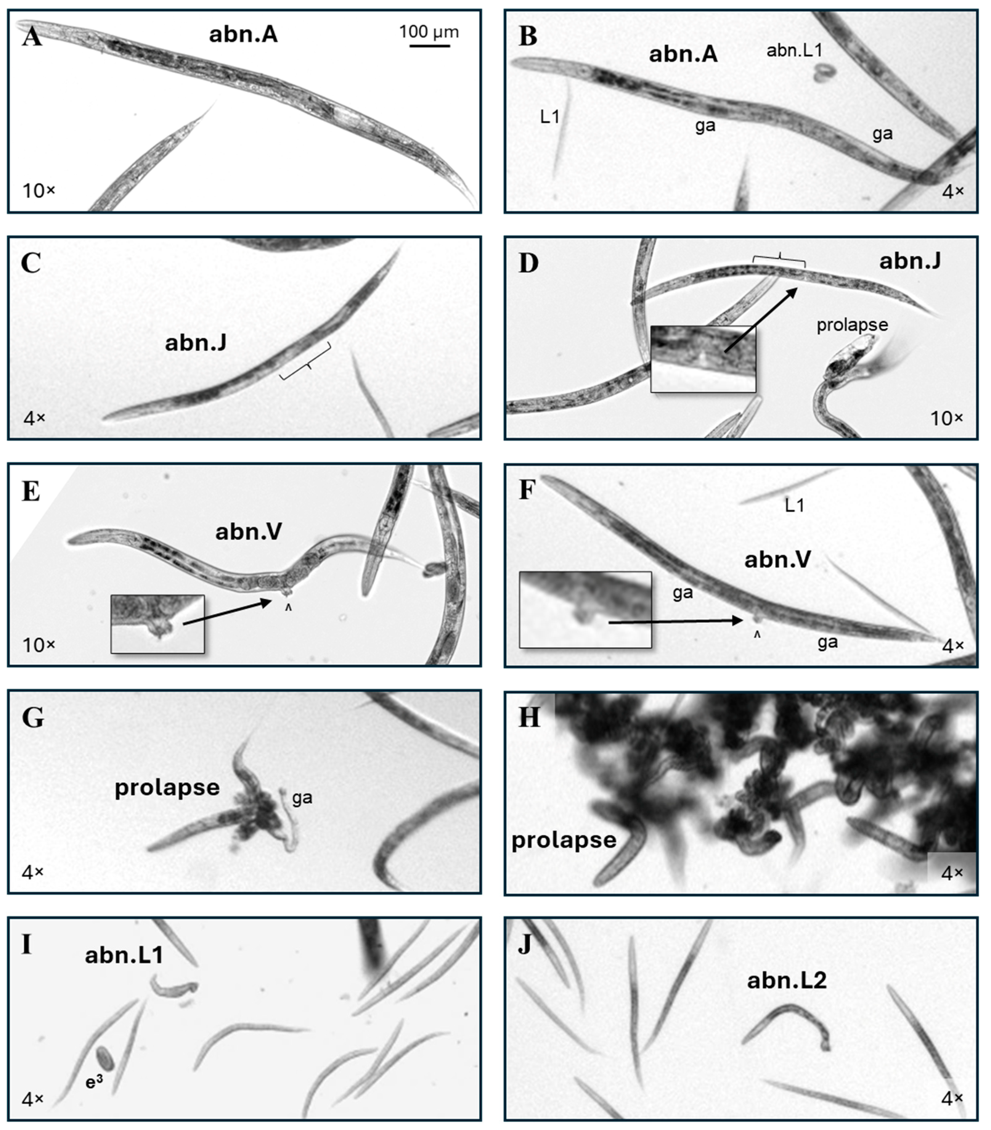Toxics 13 00589 g003