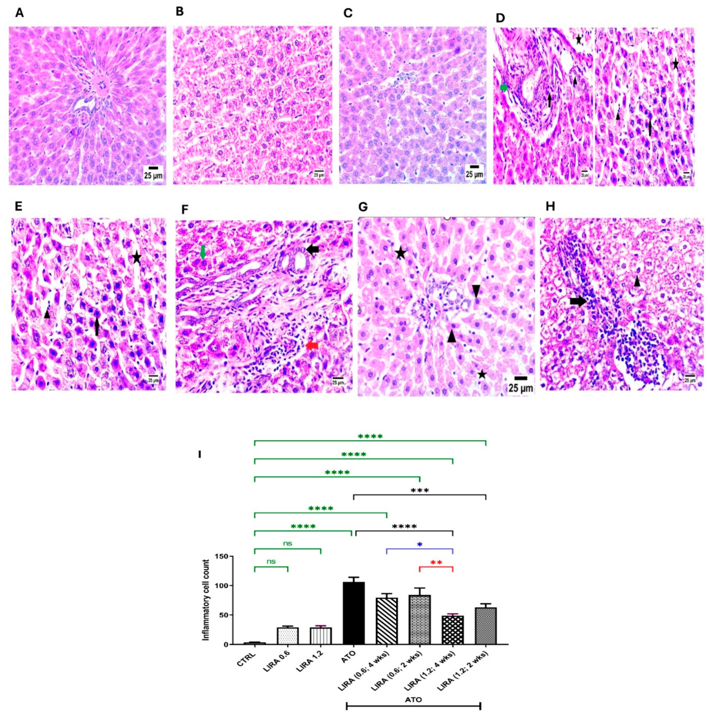 Toxics 13 00594 g004