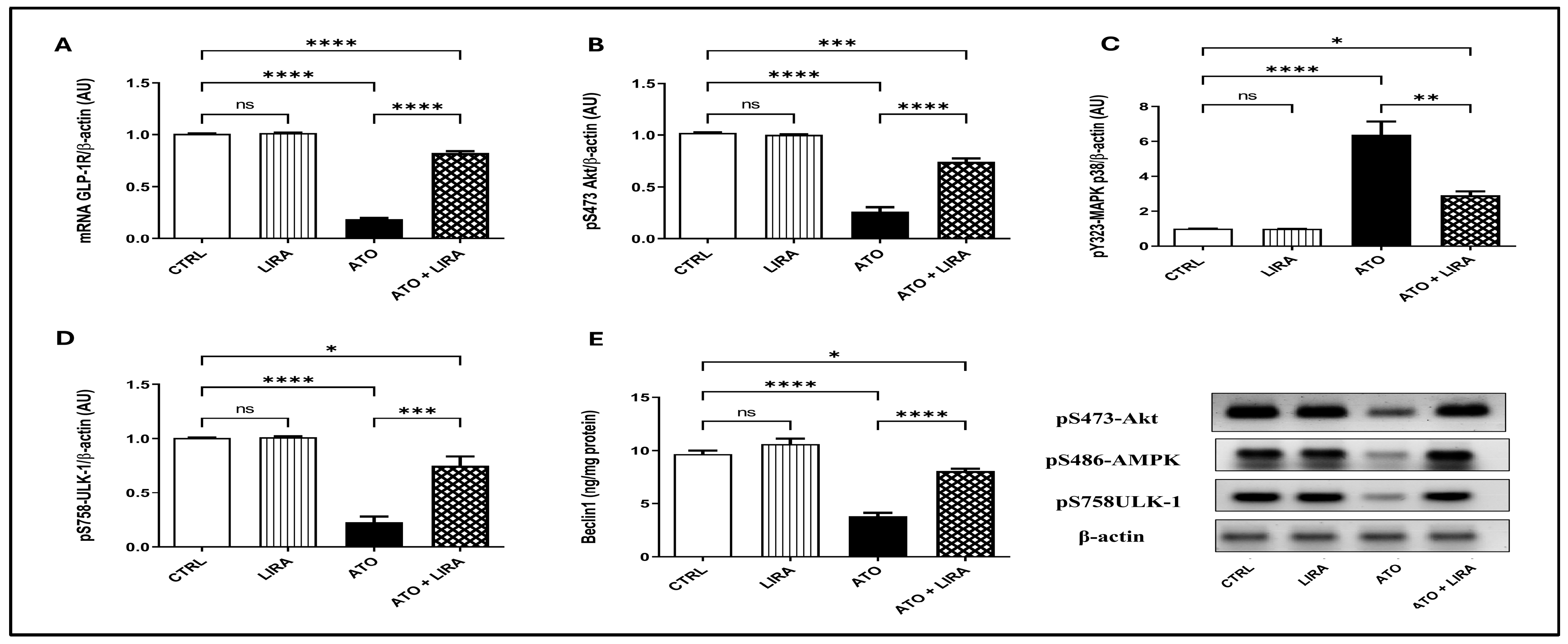 Toxics 13 00594 g008