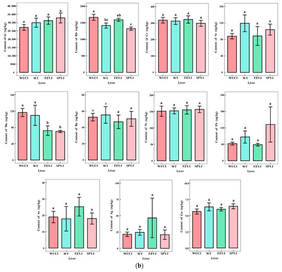 Accumulation Patterns and Health Risk Assessment of Trace Elements