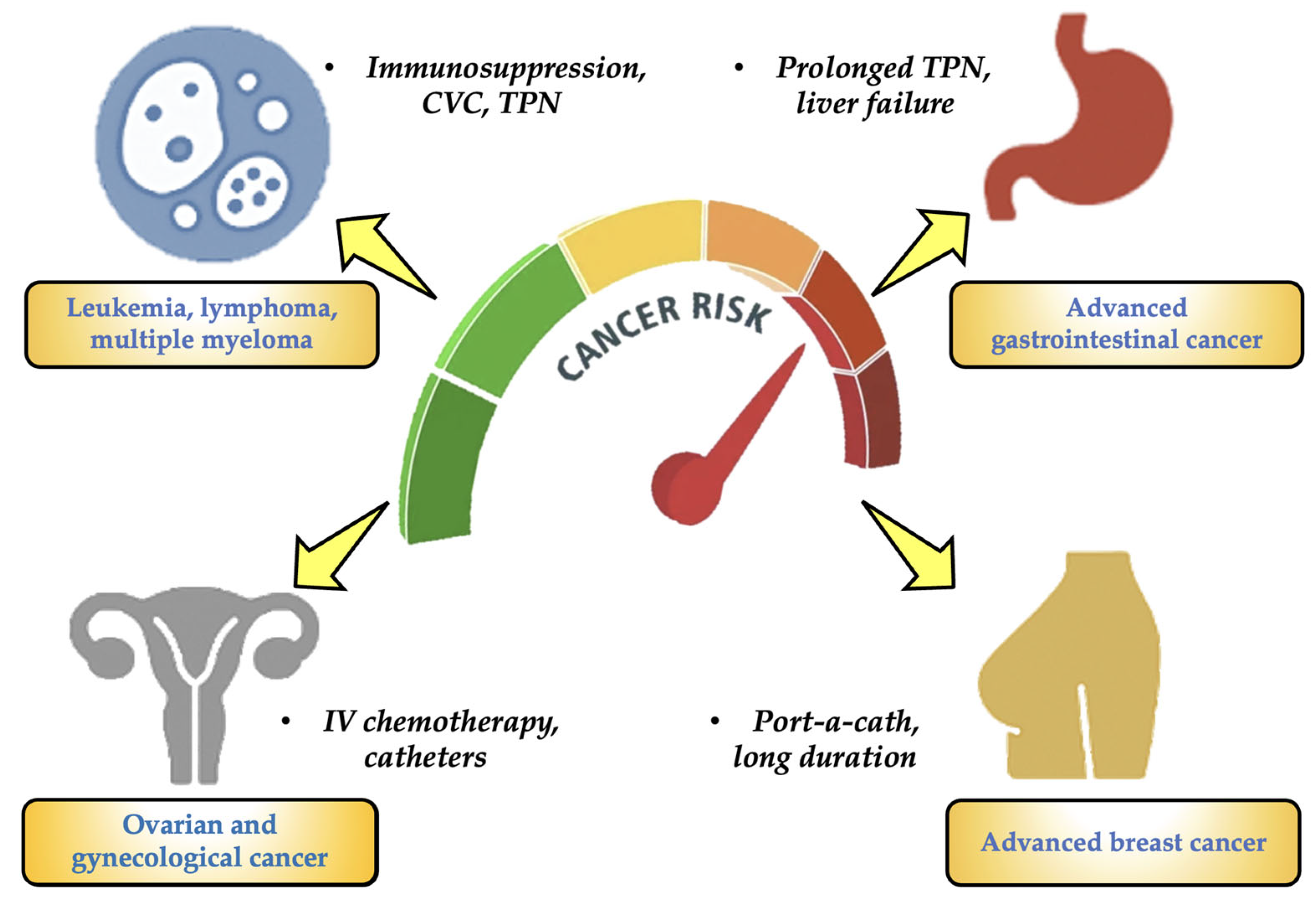 Toxics 13 00597 g008