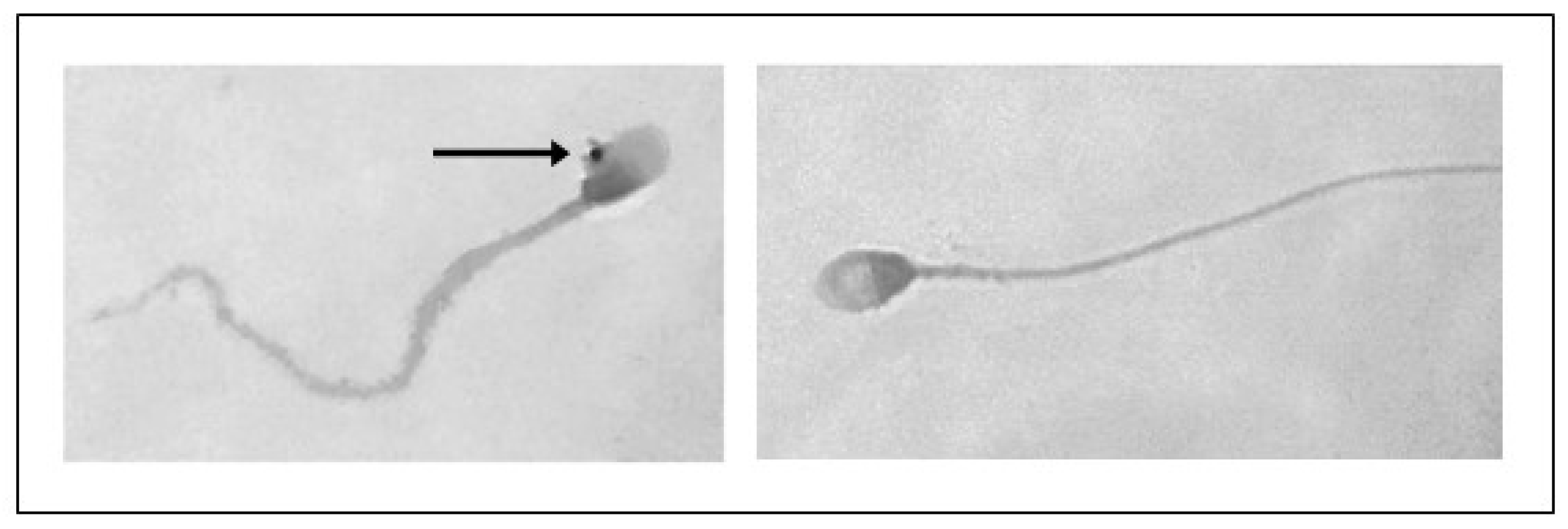 Toxics 13 00605 g008