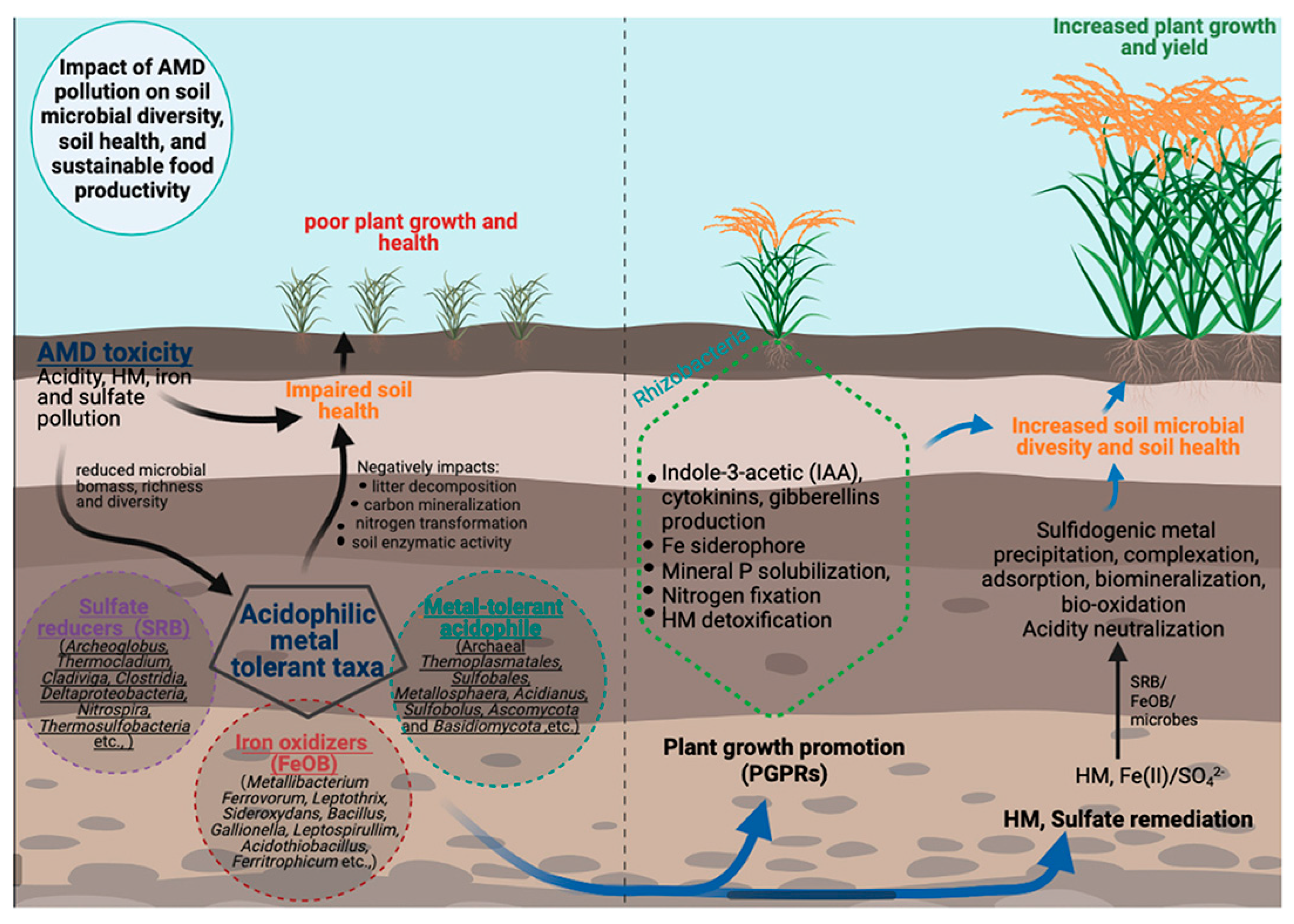 Toxics 13 00608 g007 Toxics 13 00608 g007