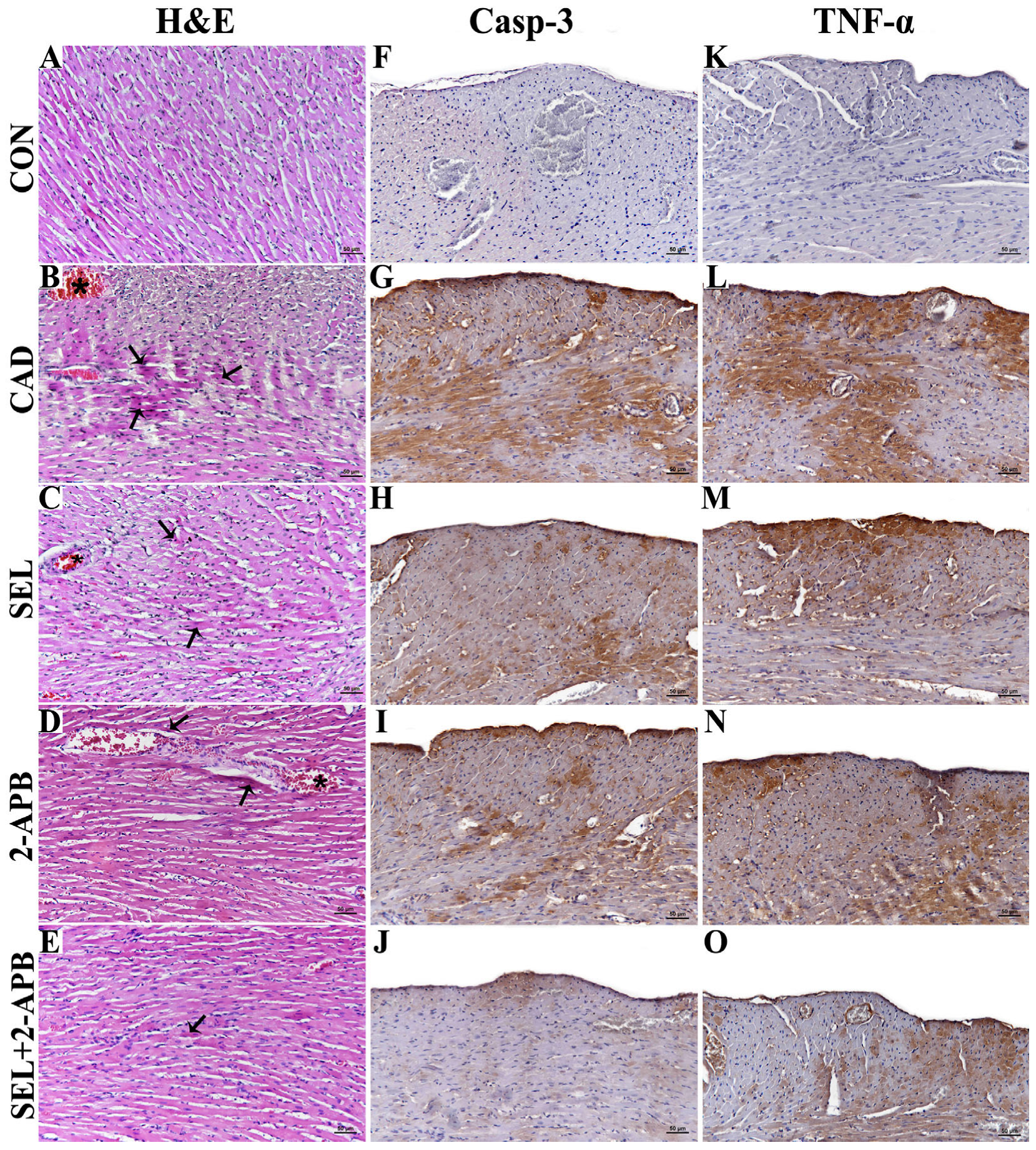 Toxics 13 00611 g001