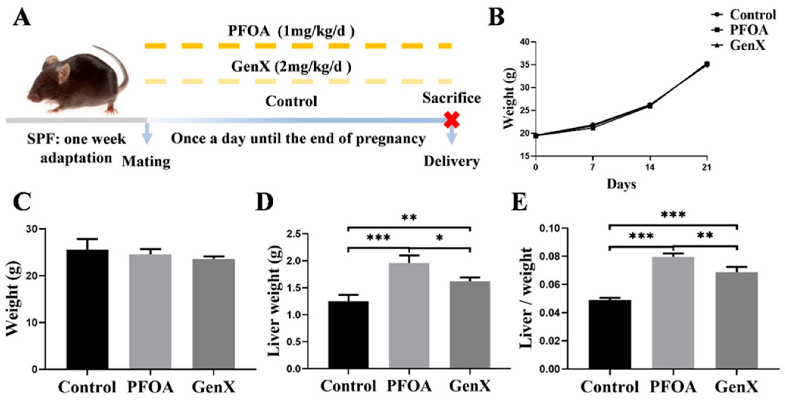 Toxics 13 00617 g001