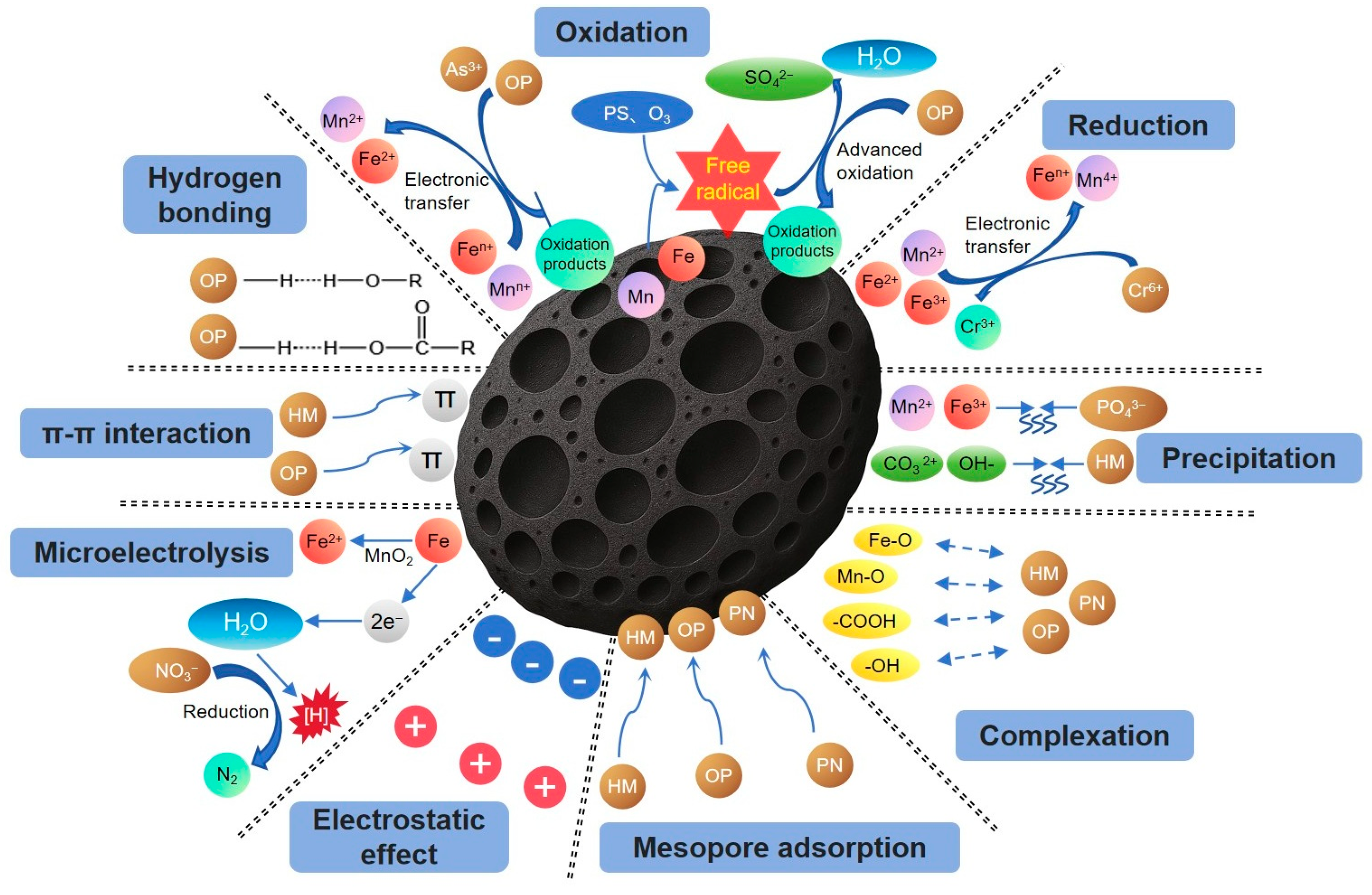 Toxics 13 00618 g001