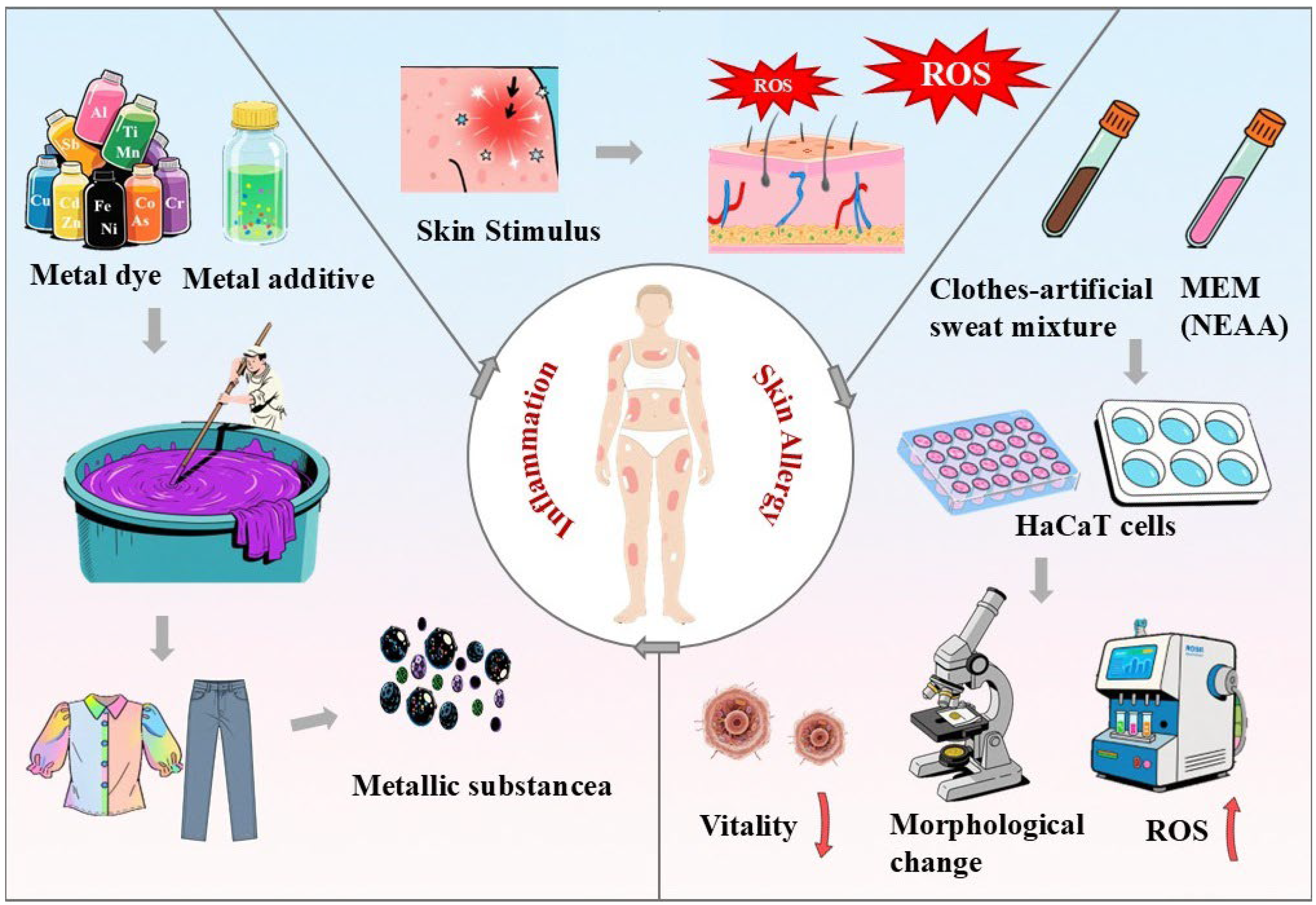 Toxics 13 00622 g001