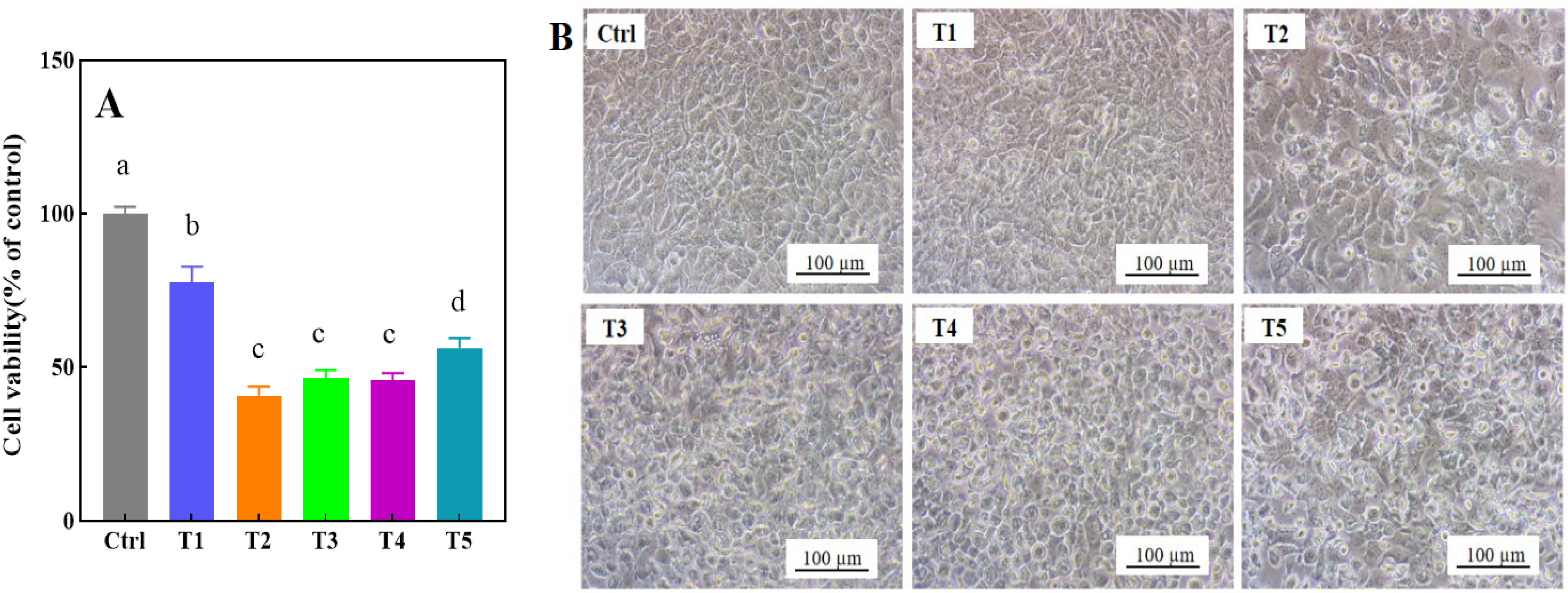 Toxics 13 00622 g002