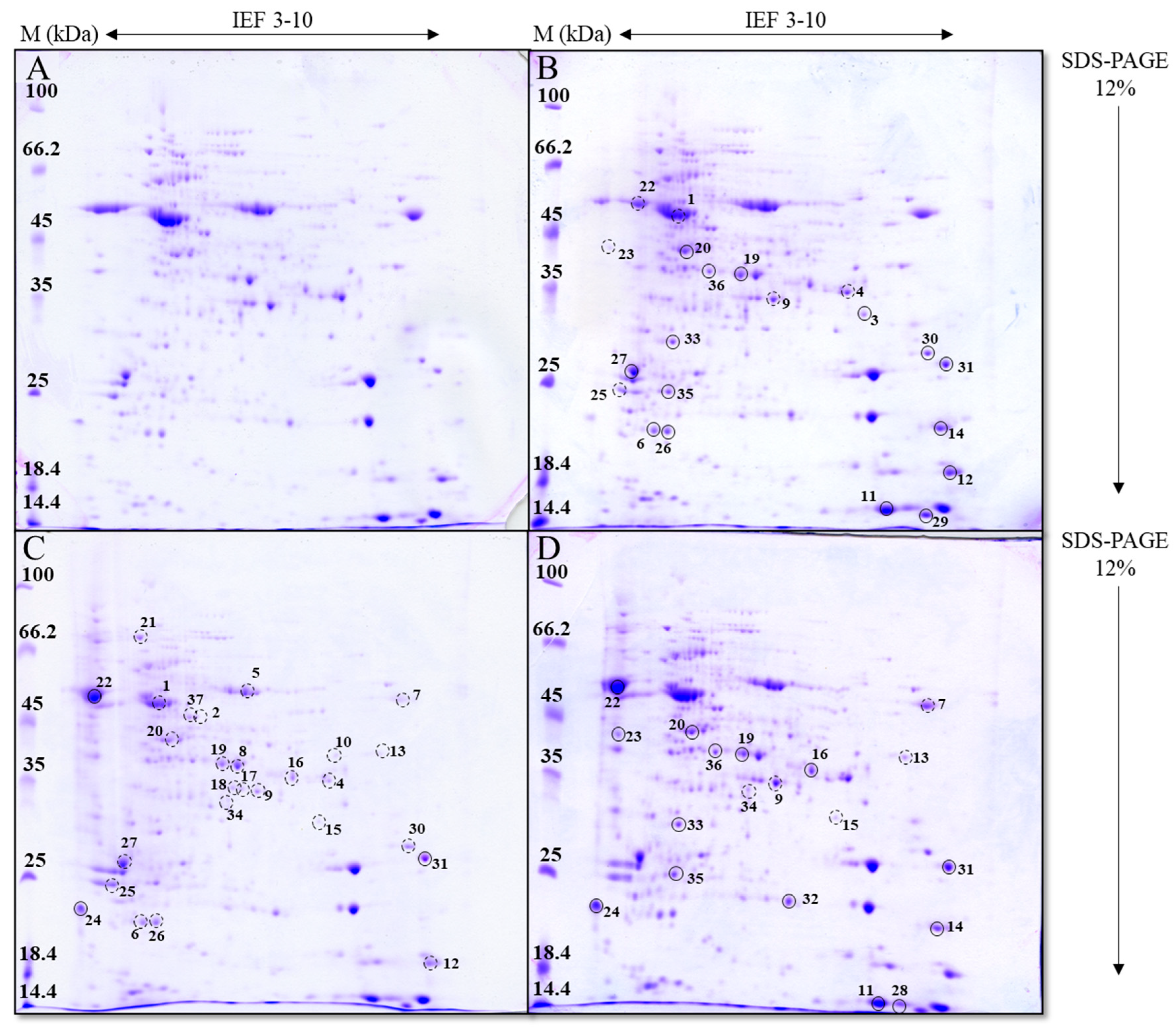 Toxics 13 00627 g006