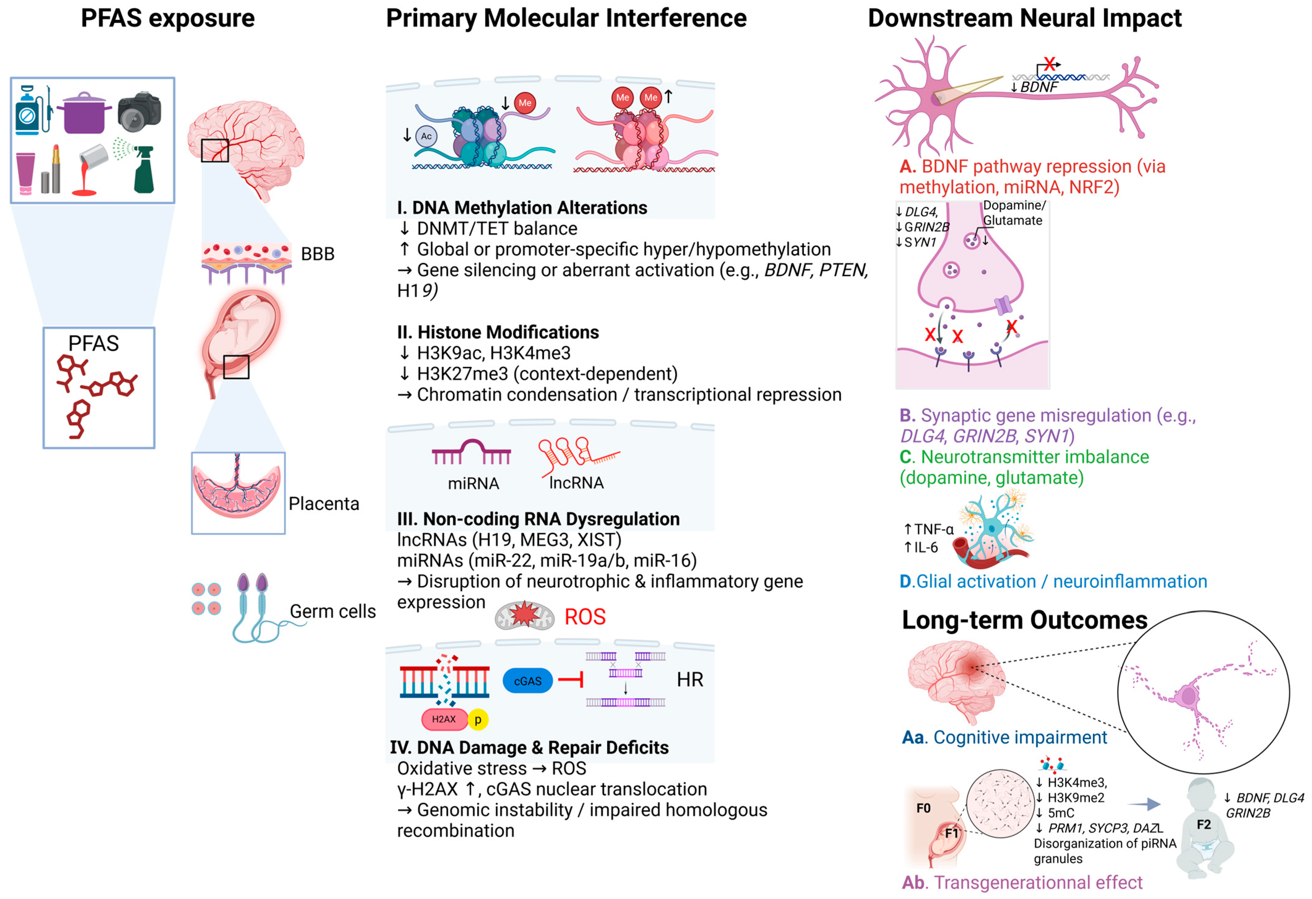 Toxics 13 00629 g001