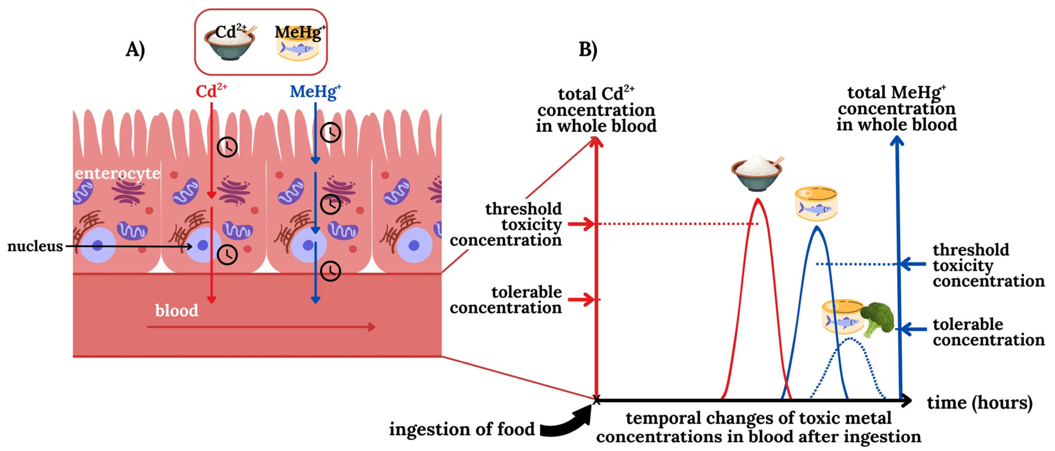 Toxics 13 00636 g003