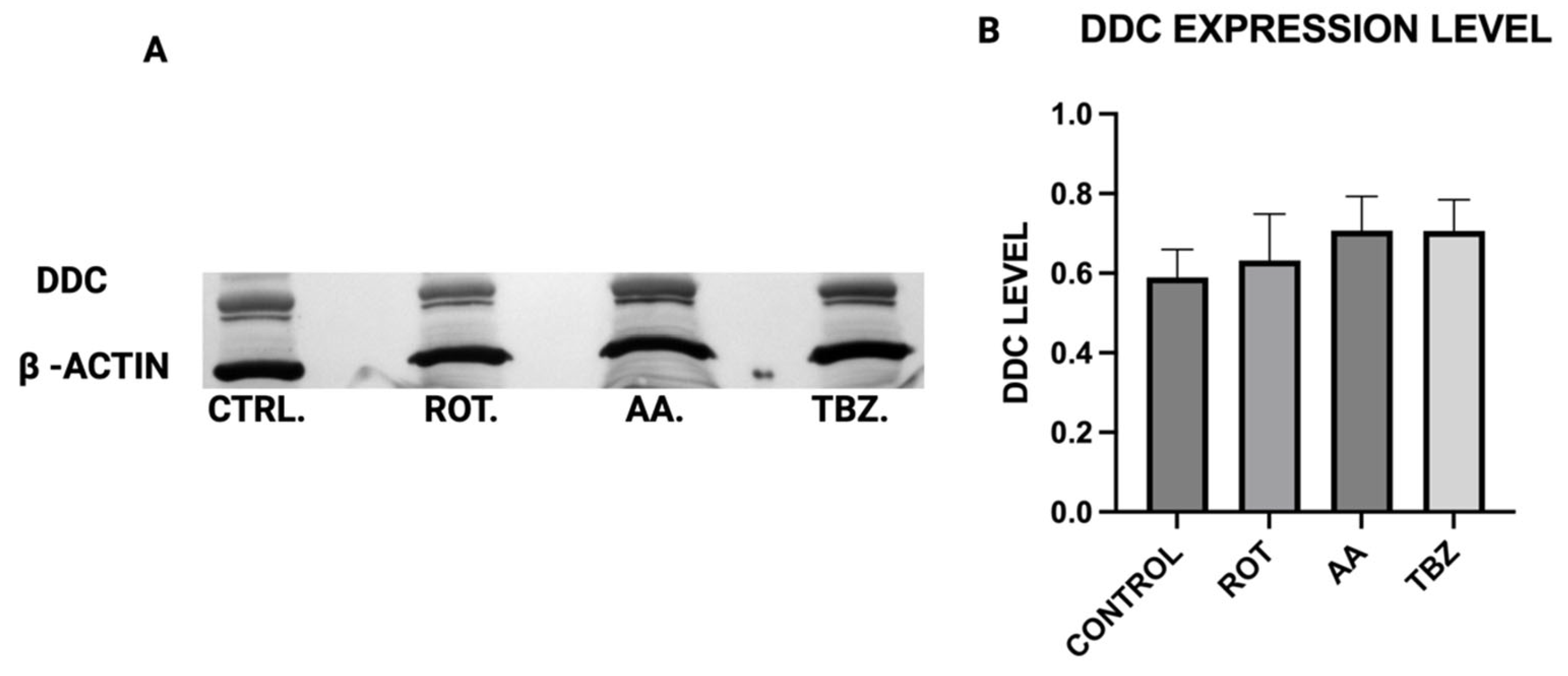 Toxics 13 00637 g004