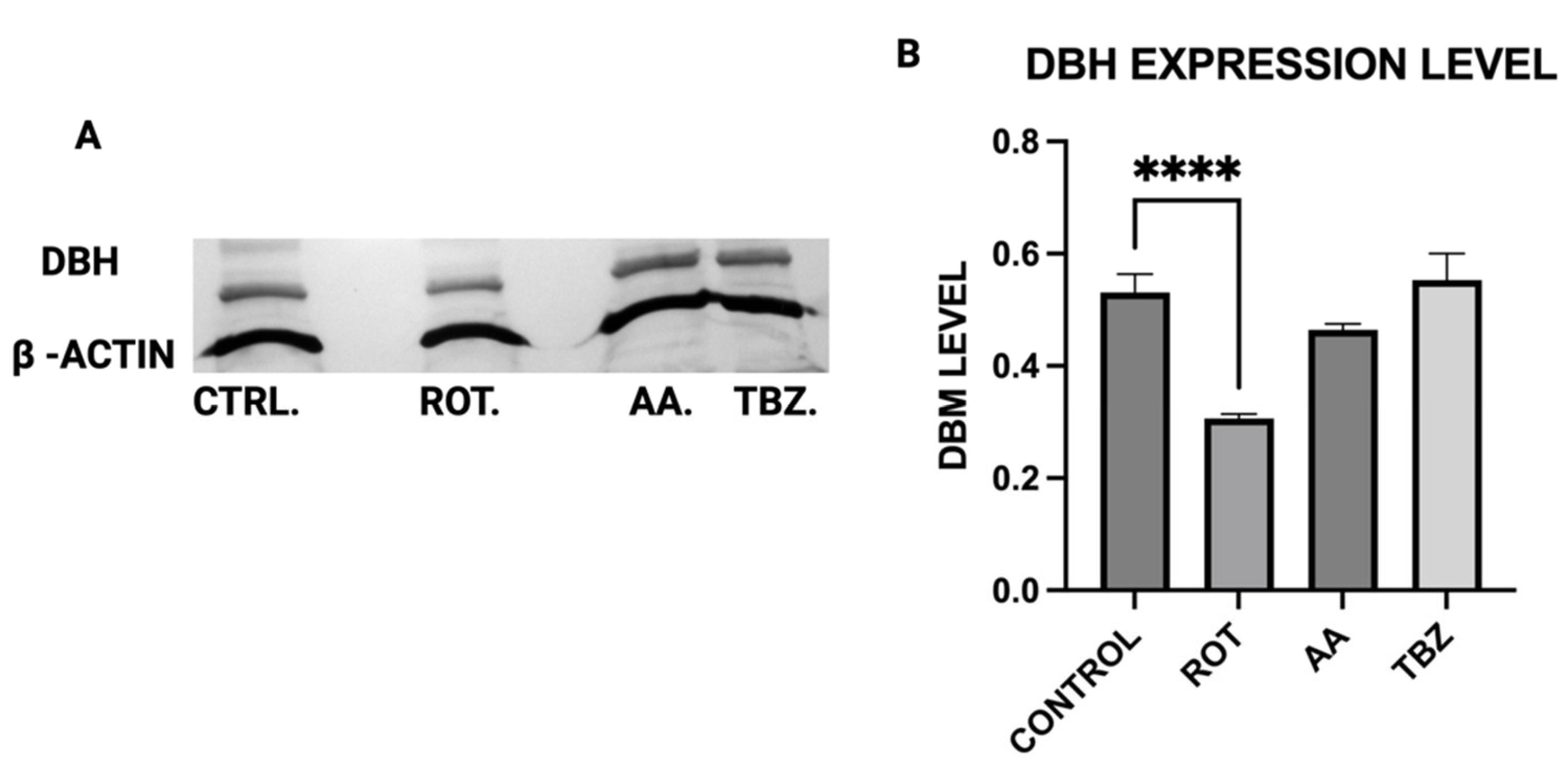 Toxics 13 00637 g005