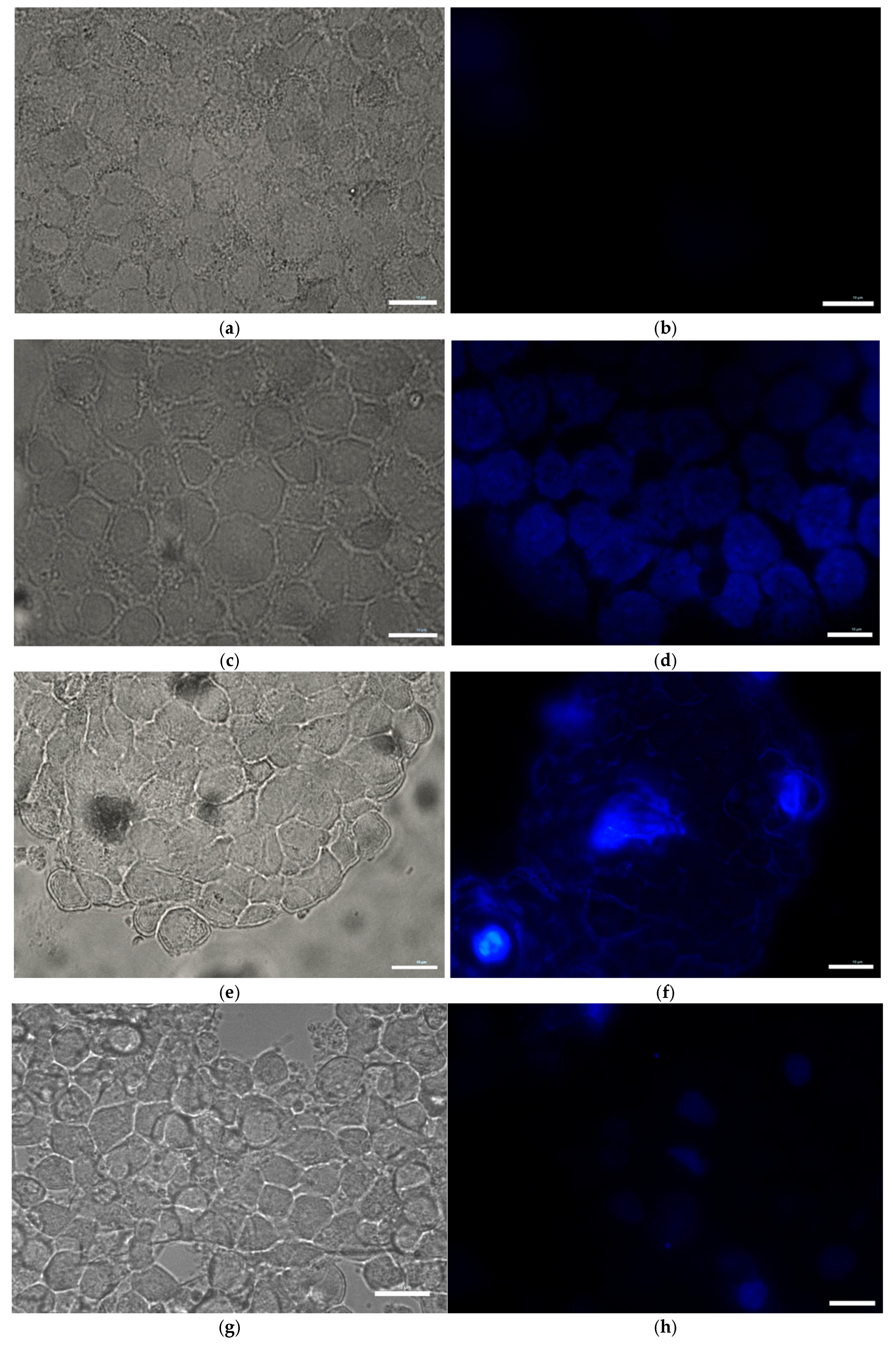 Toxics 13 00637 g007