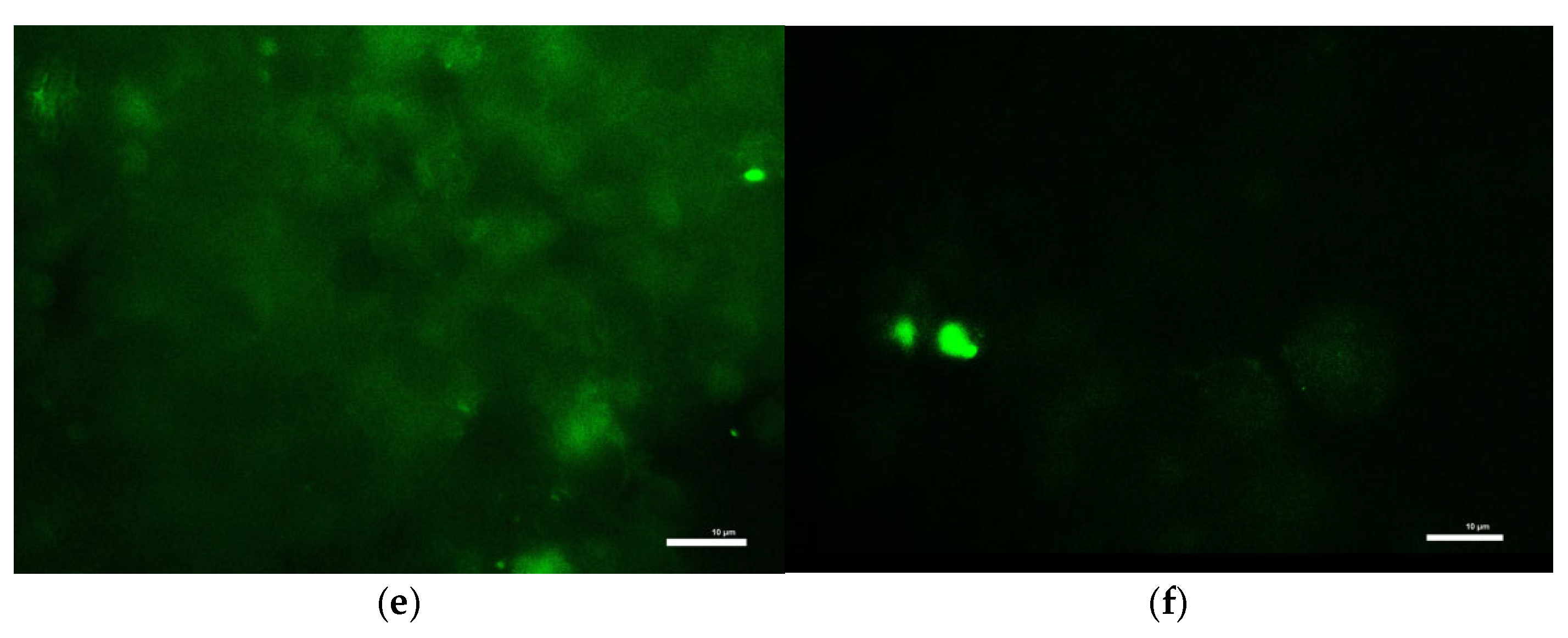 Toxics 13 00637 g008b
