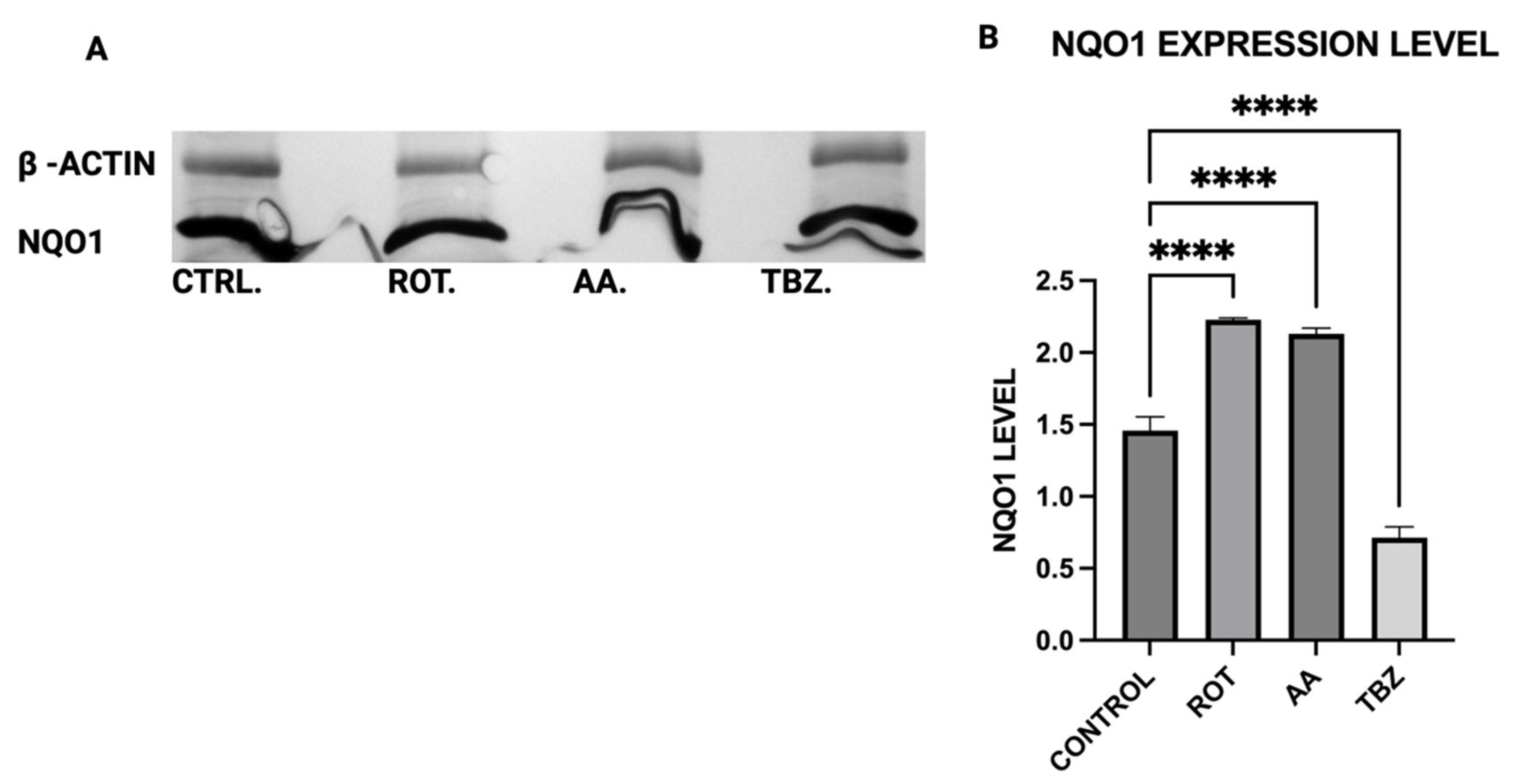 Toxics 13 00637 g010