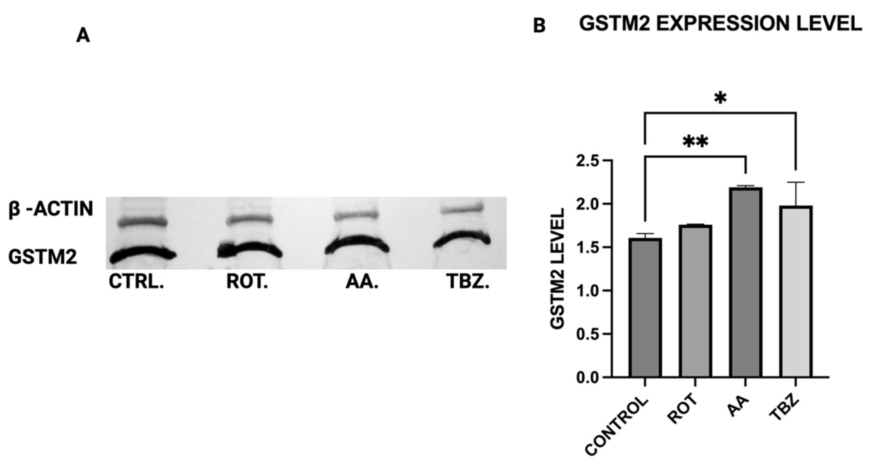 Toxics 13 00637 g011